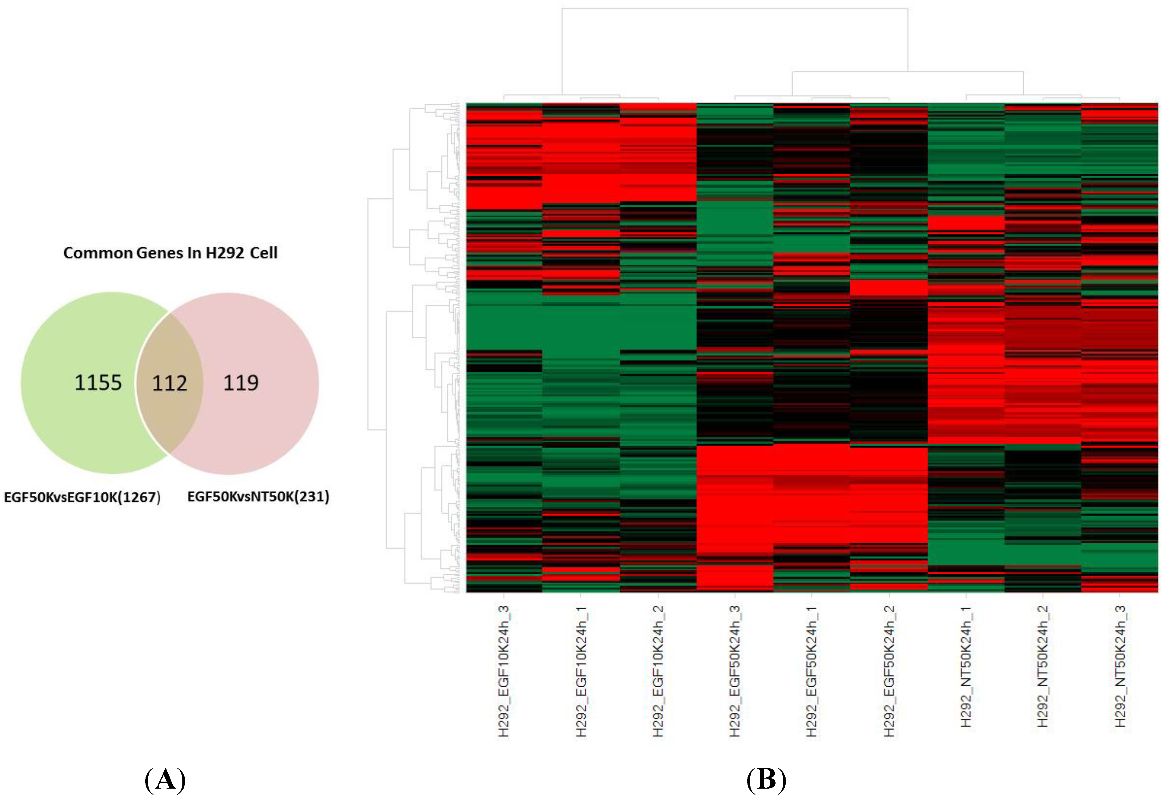 Ijms 15 17686 g009 1024