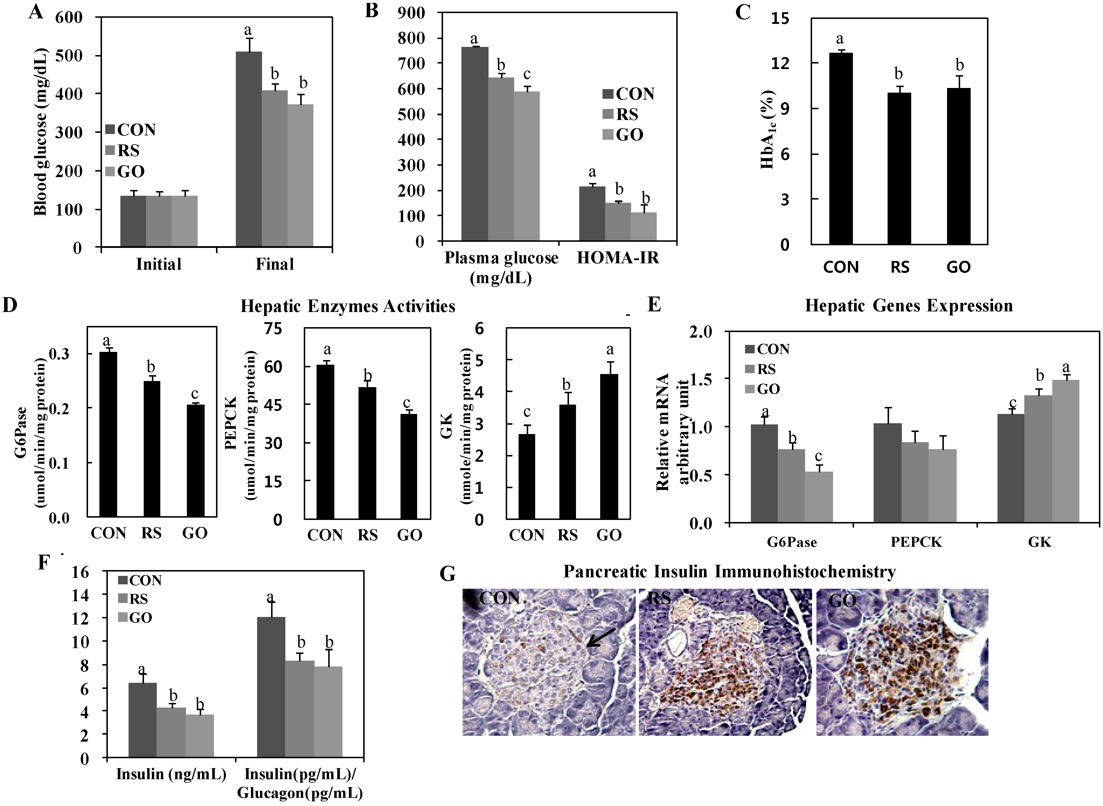 Ijms 15 17778 g001 1024