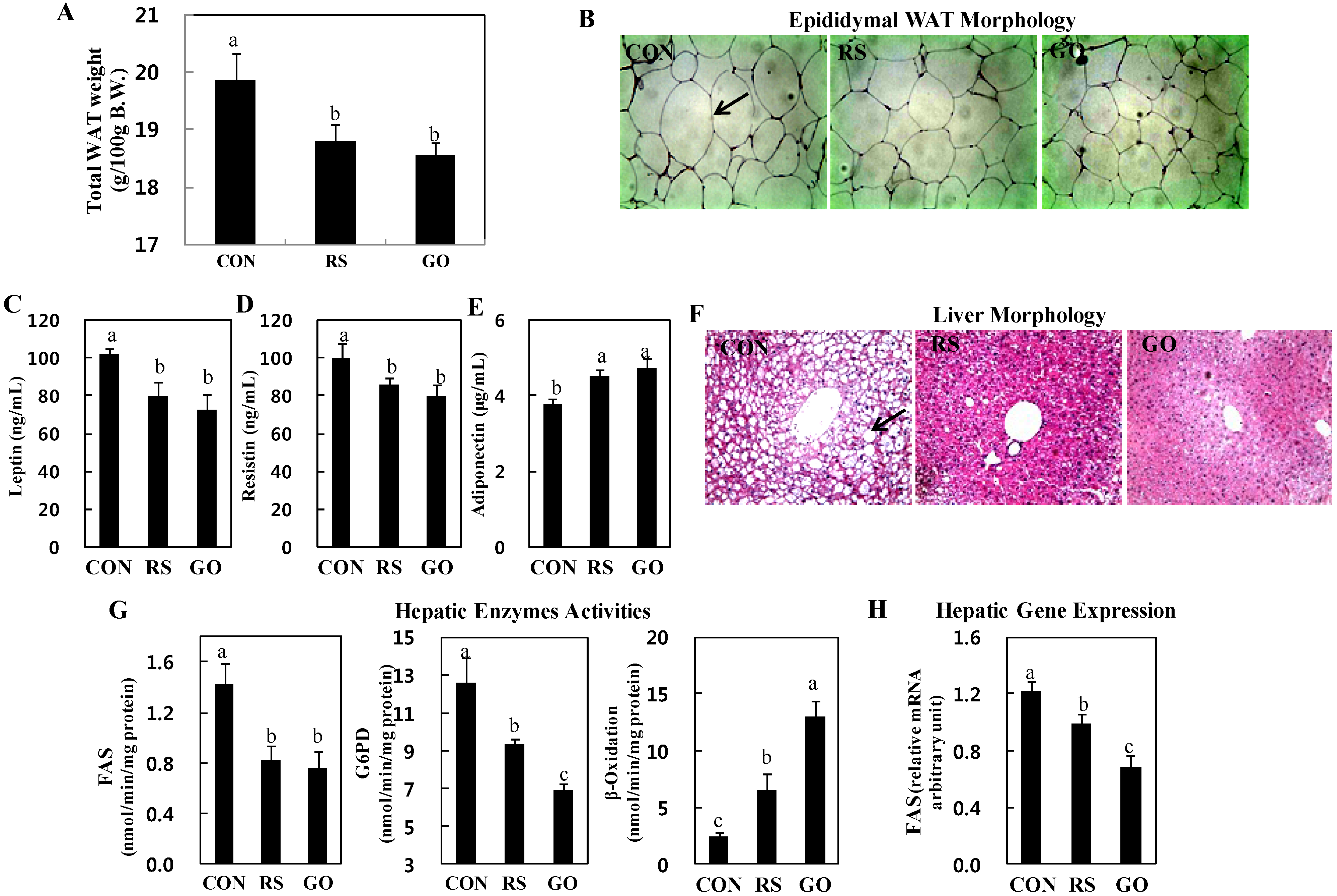 Ijms 15 17778 g002 1024