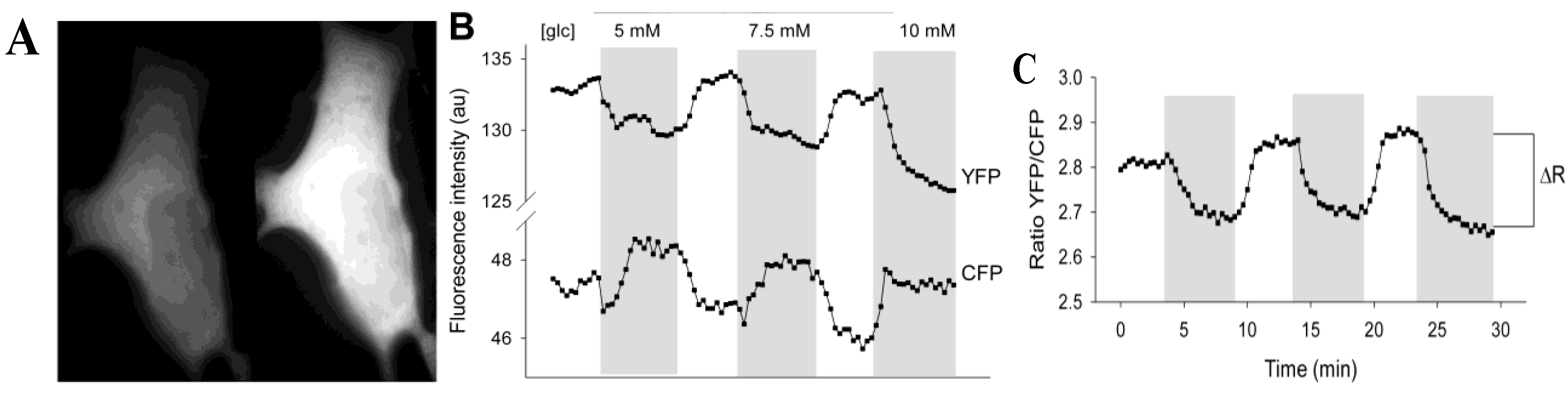 Ijms 15 17827 g001 1024