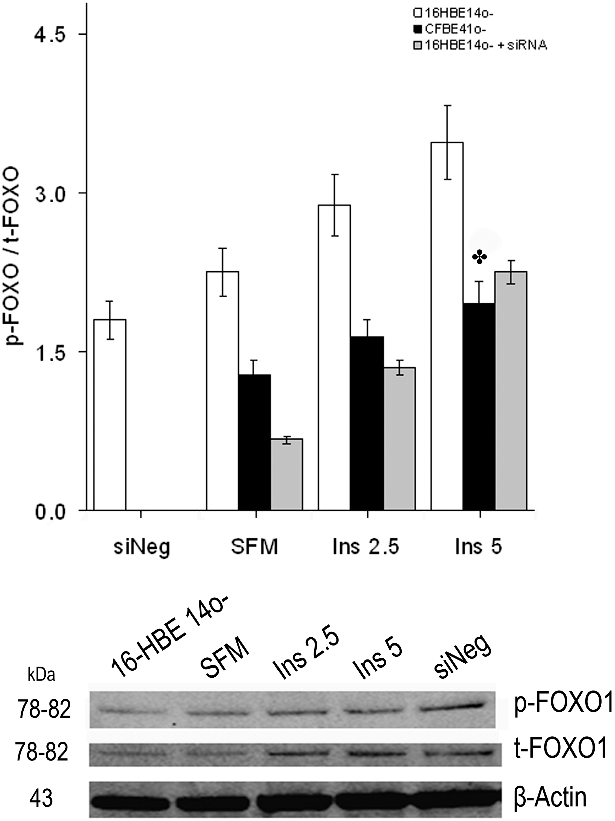 Ijms 15 18000 g006