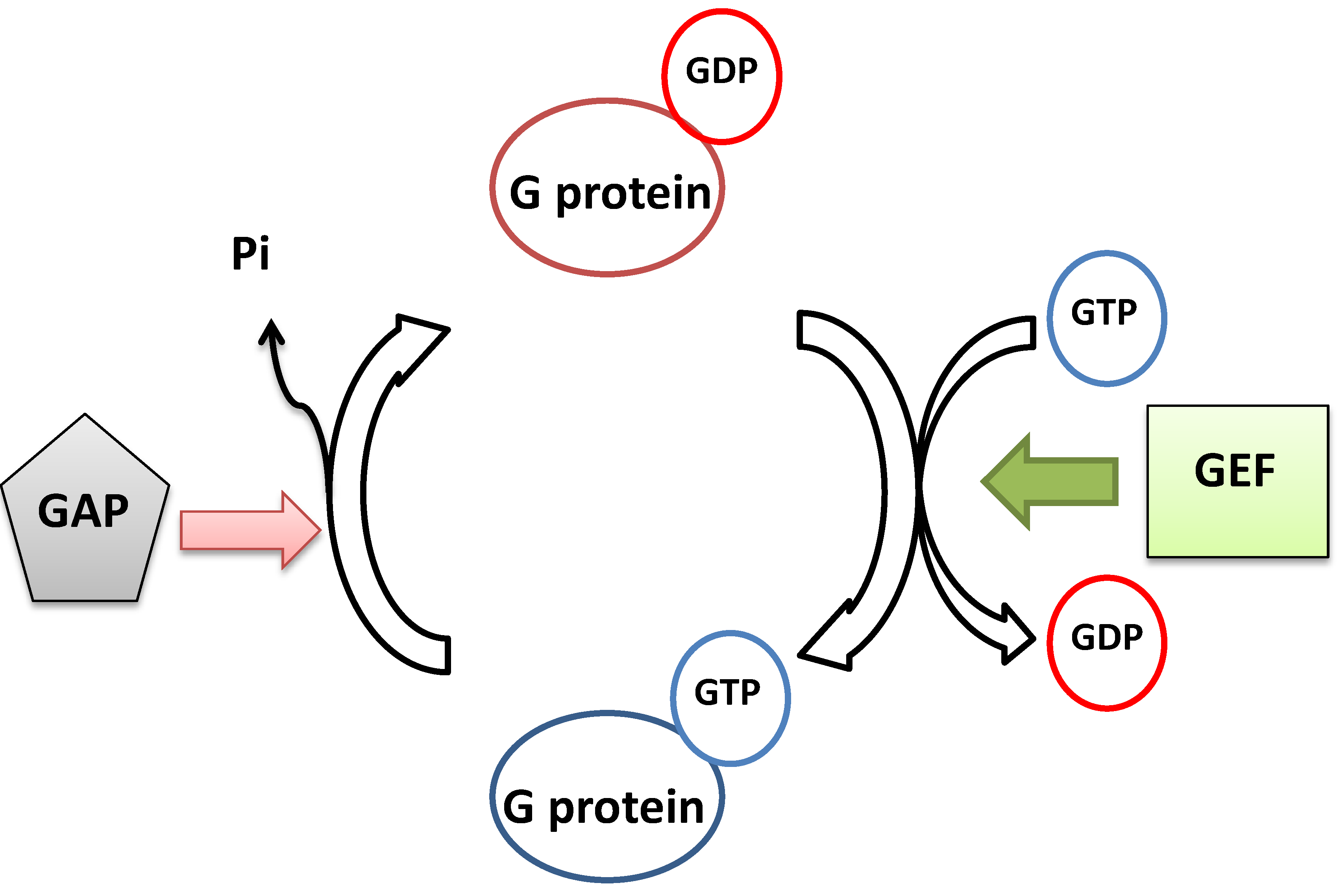 Ijms 15 18084 g004 1024