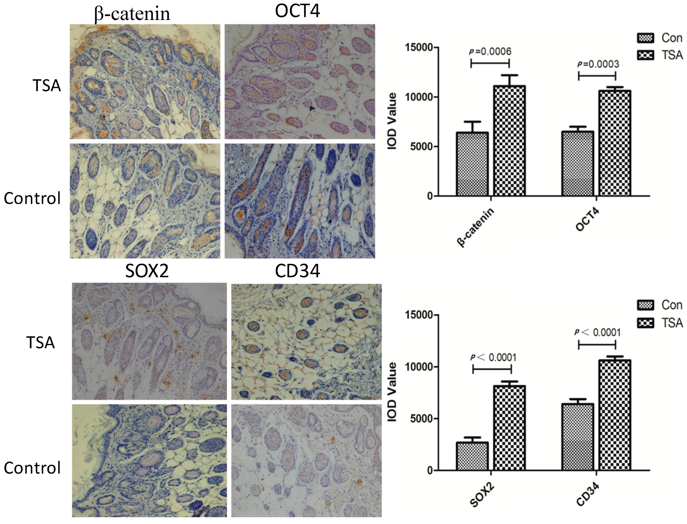 Ijms 15 18117 g004 1024