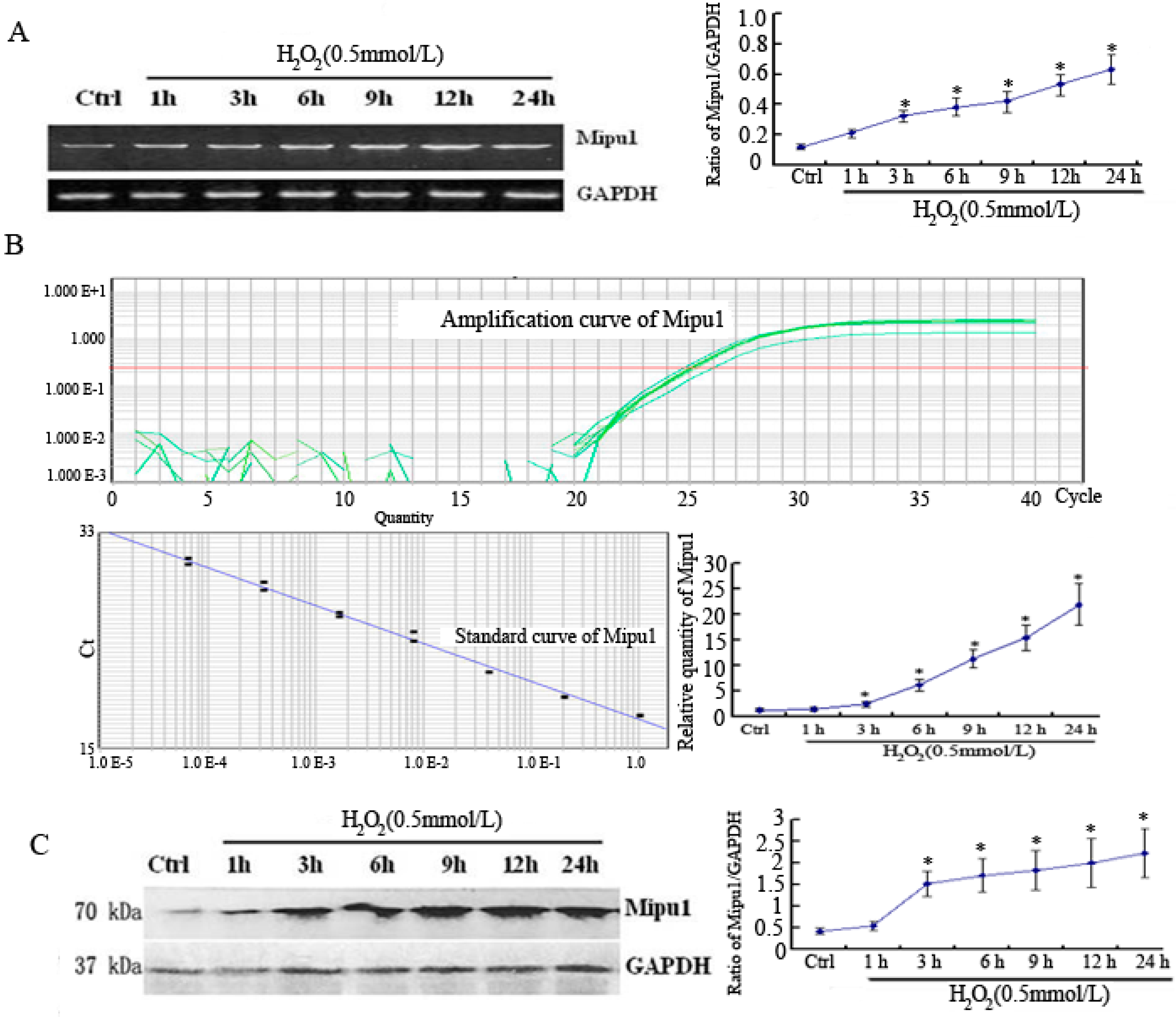 Ijms 15 18206 g001 1024