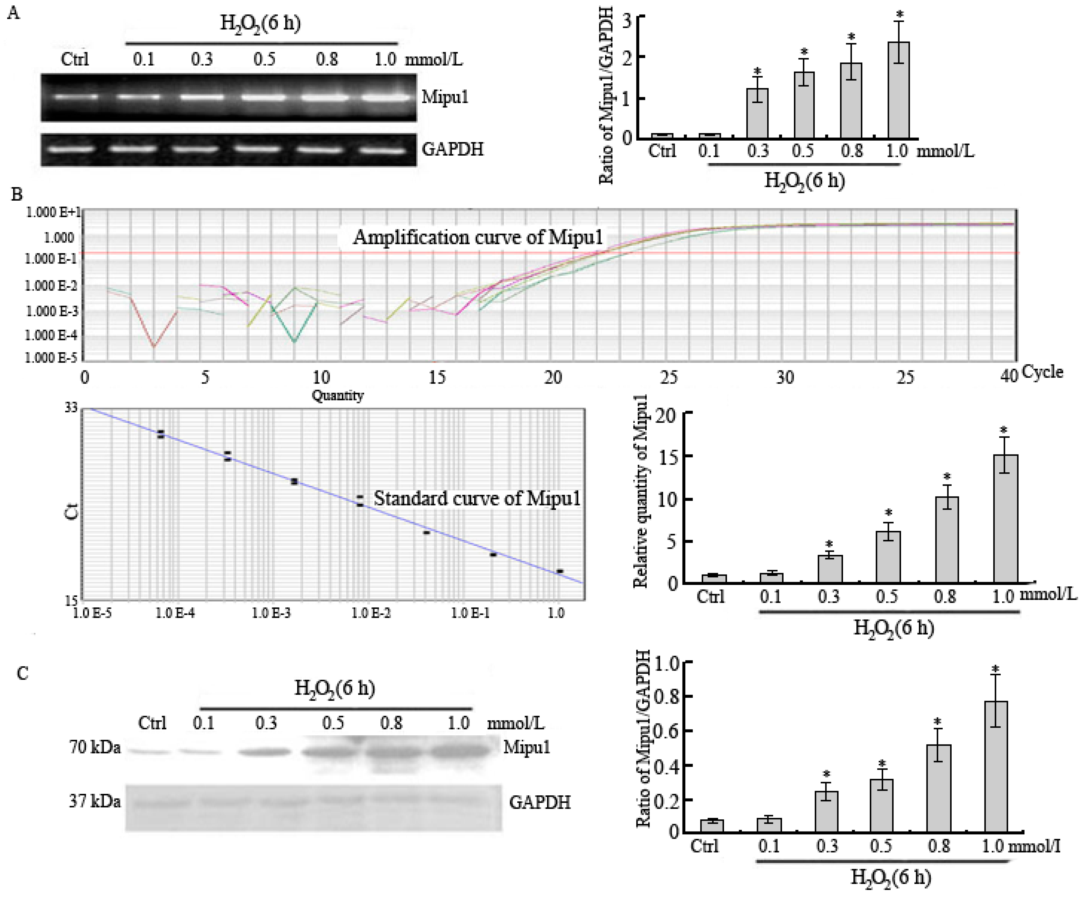 Ijms 15 18206 g002 1024