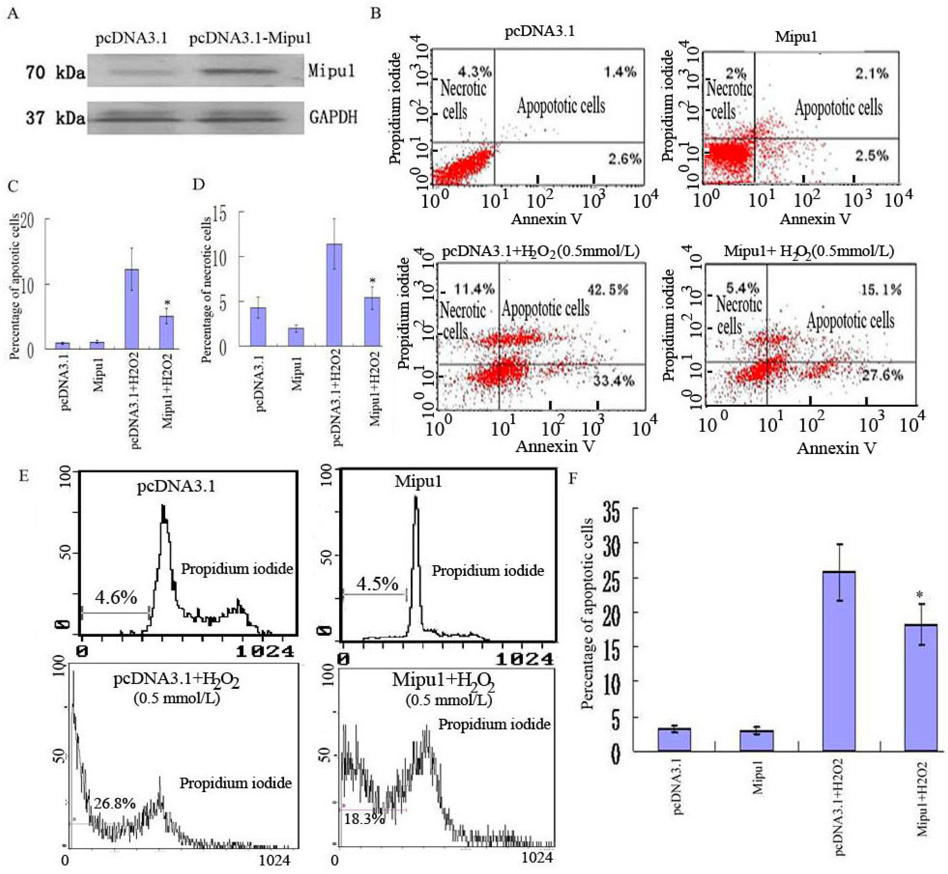 Ijms 15 18206 g003 1024