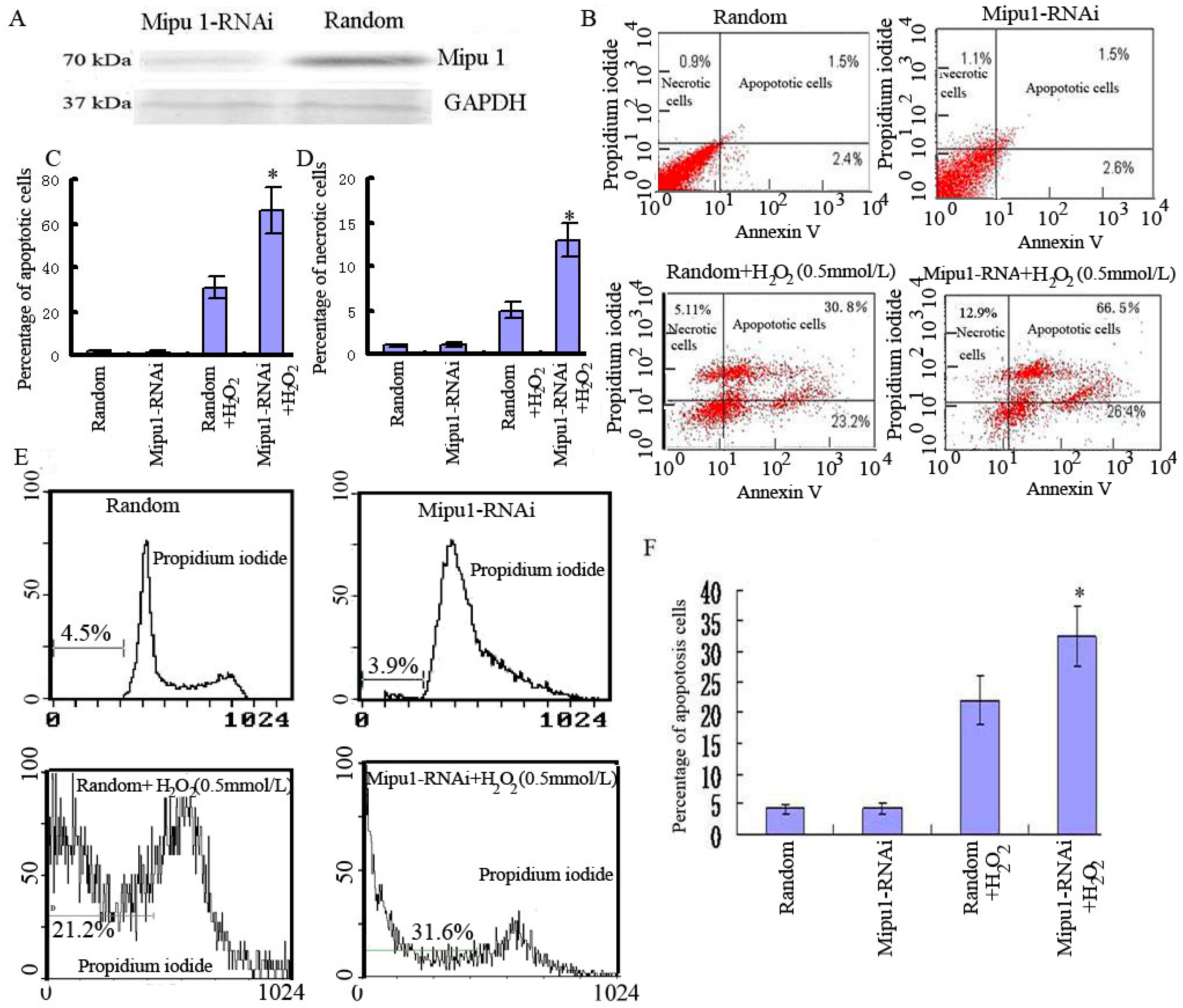 Ijms 15 18206 g004 1024