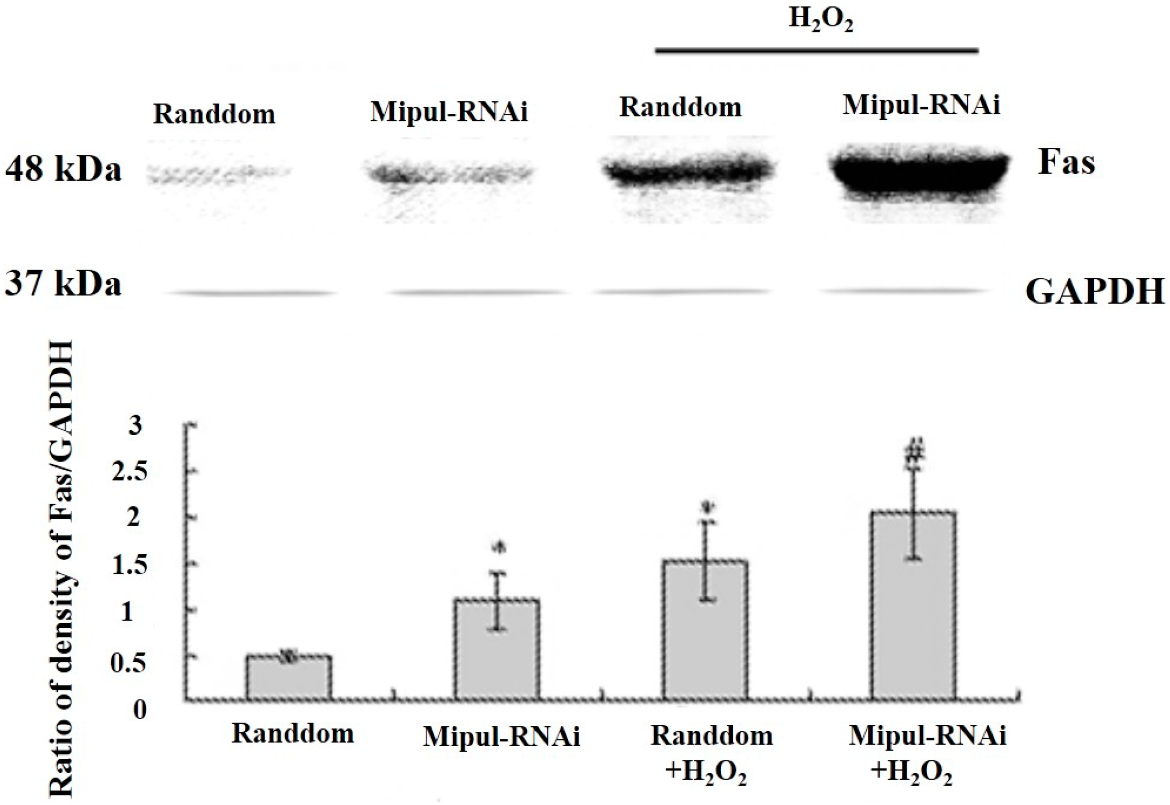 Ijms 15 18206 g006 1024