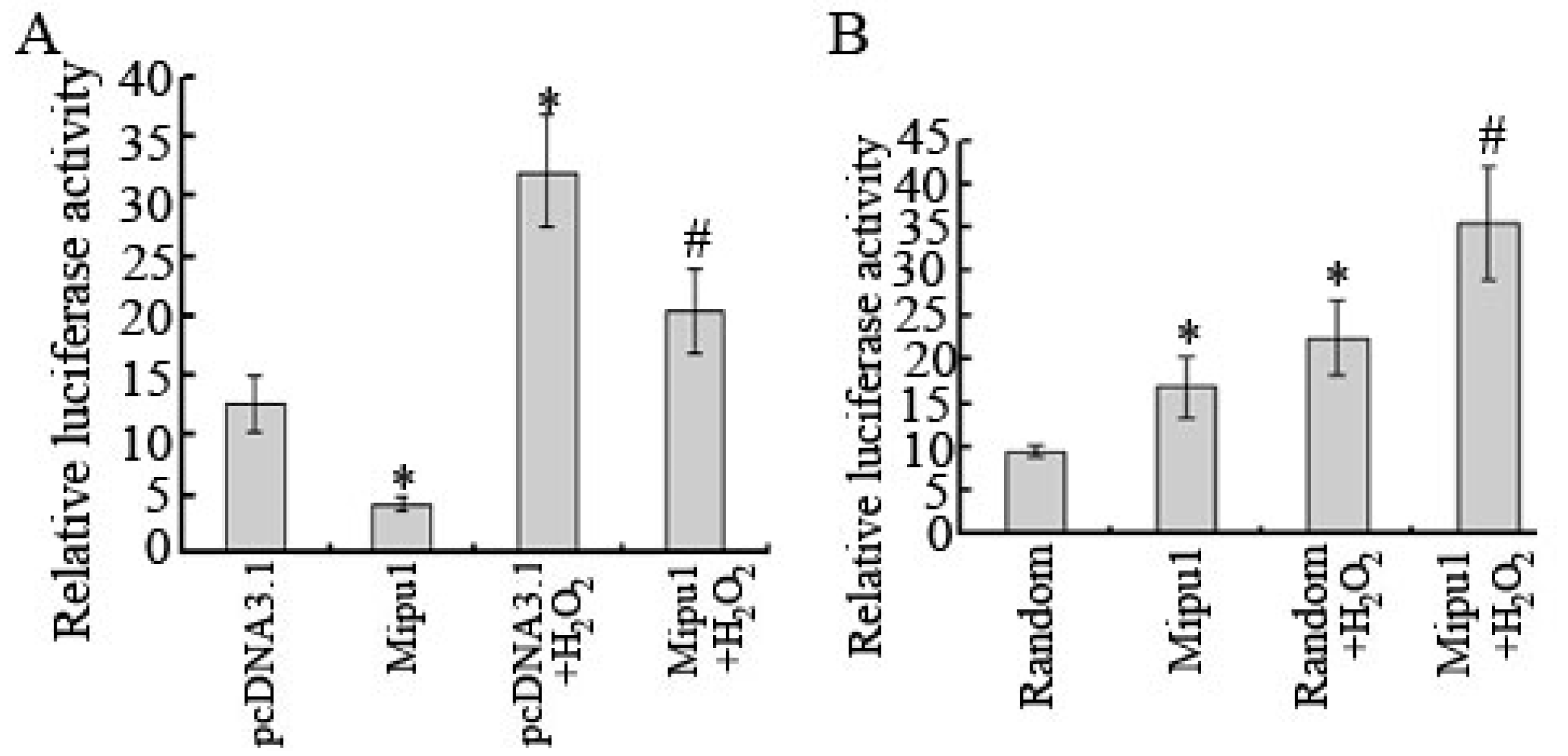 Ijms 15 18206 g008 1024