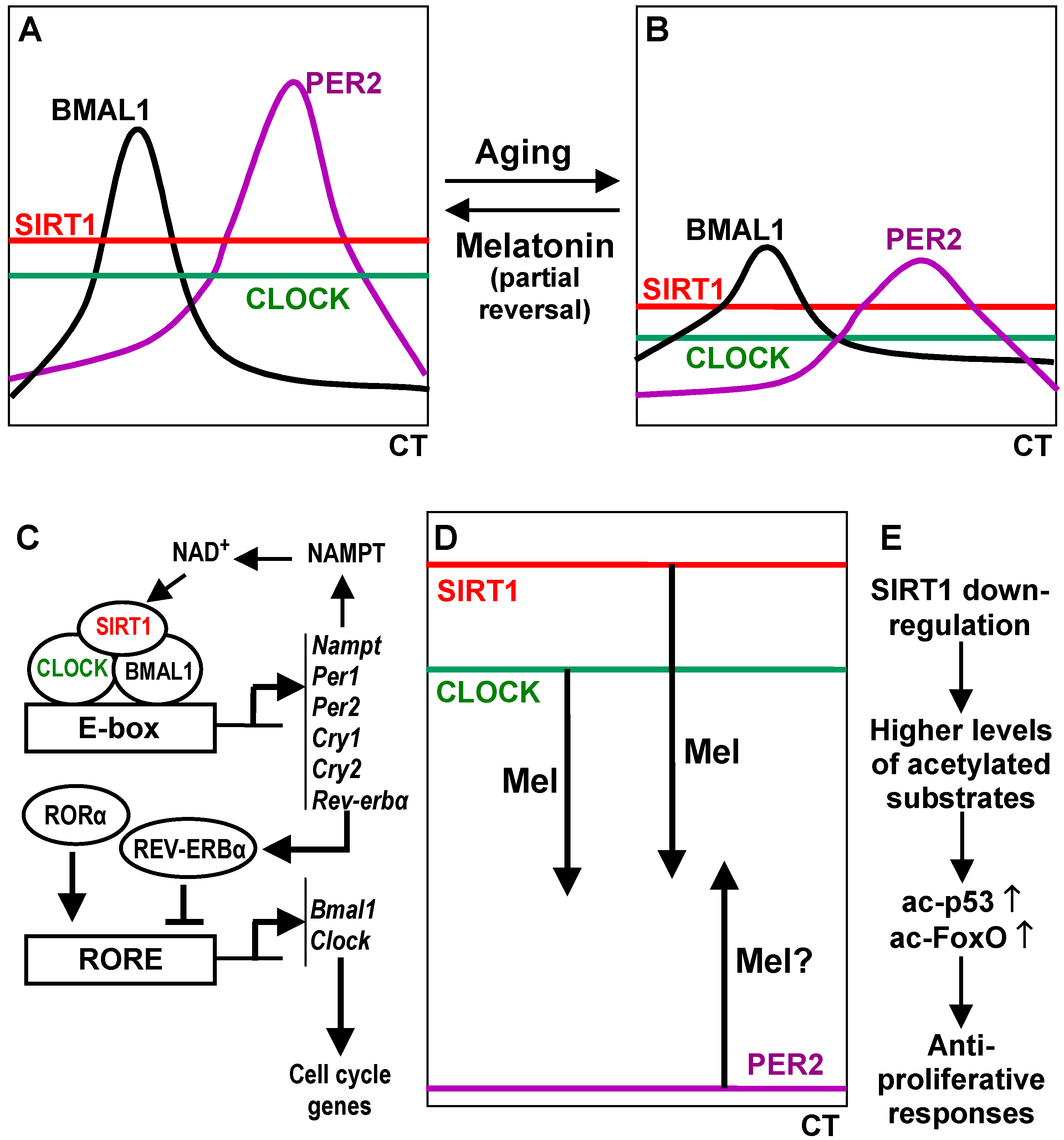 Ijms 15 18221 g002 1024