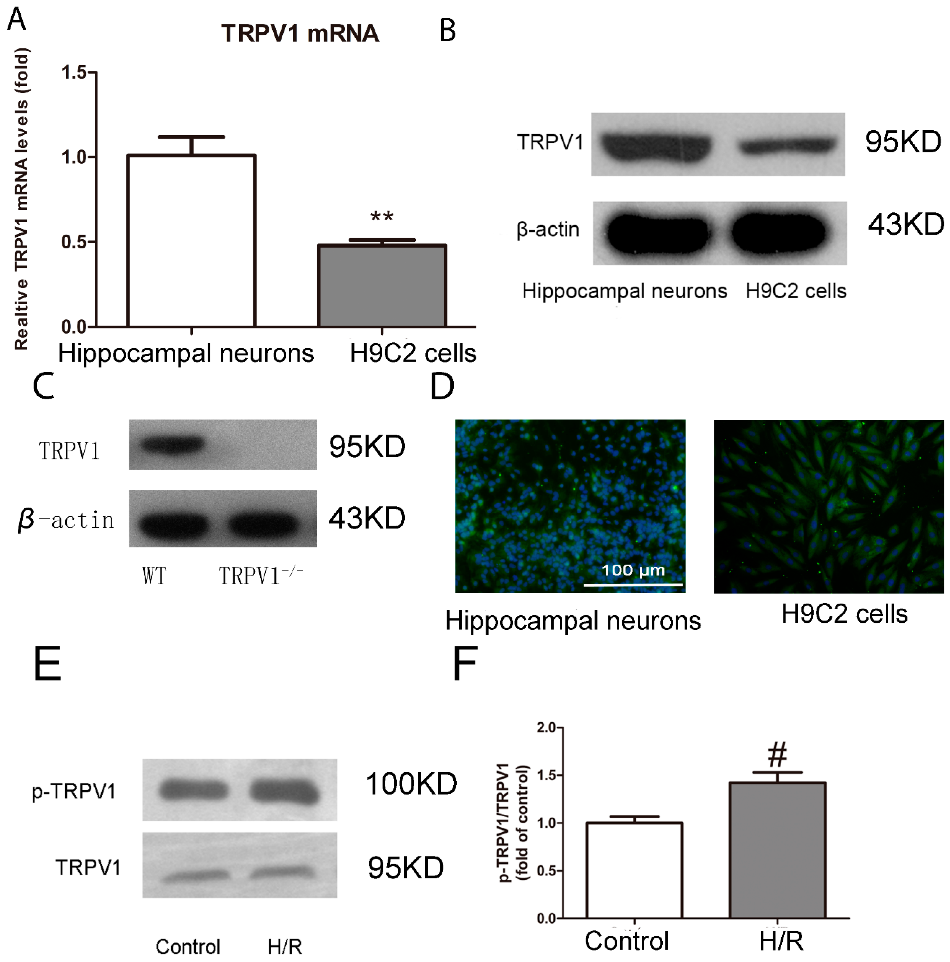 Ijms 15 18362 g001 1024