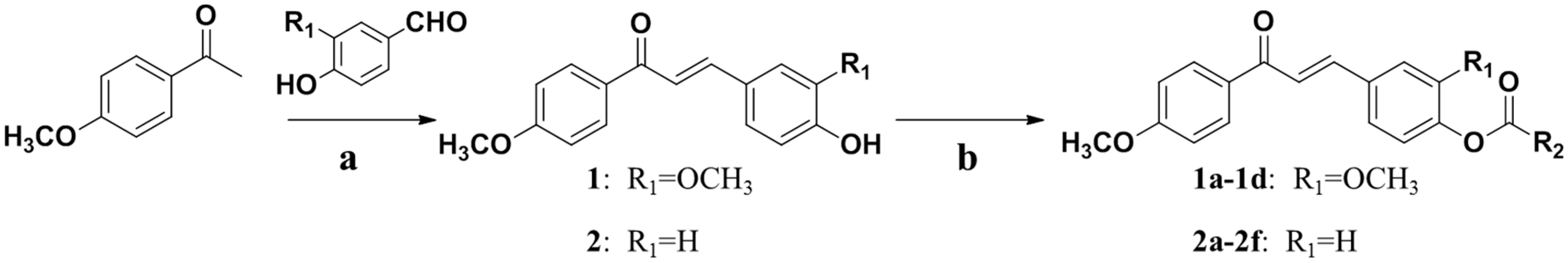 Ijms 15 18525 g007