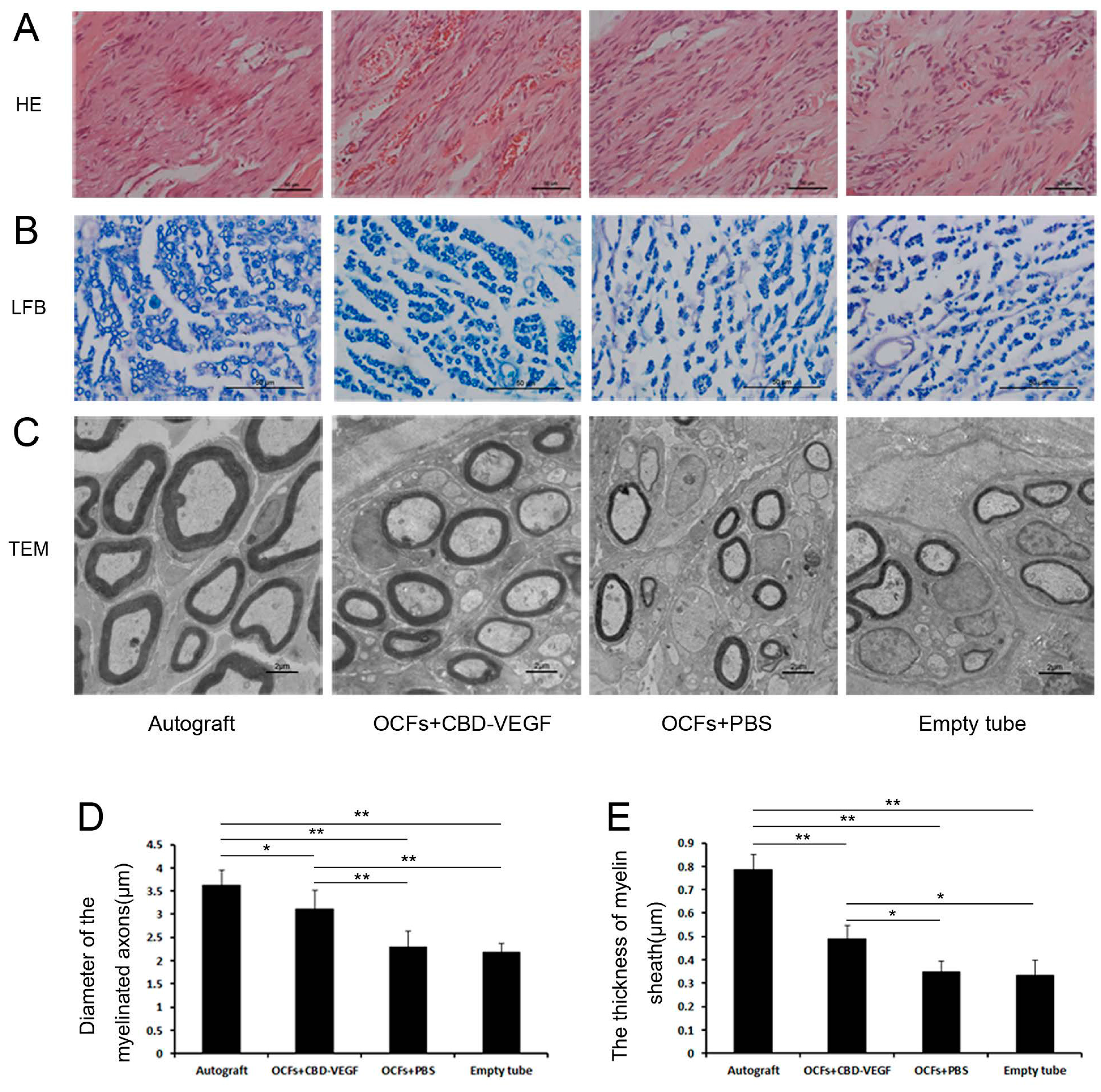 Ijms 15 18593 g007 1024