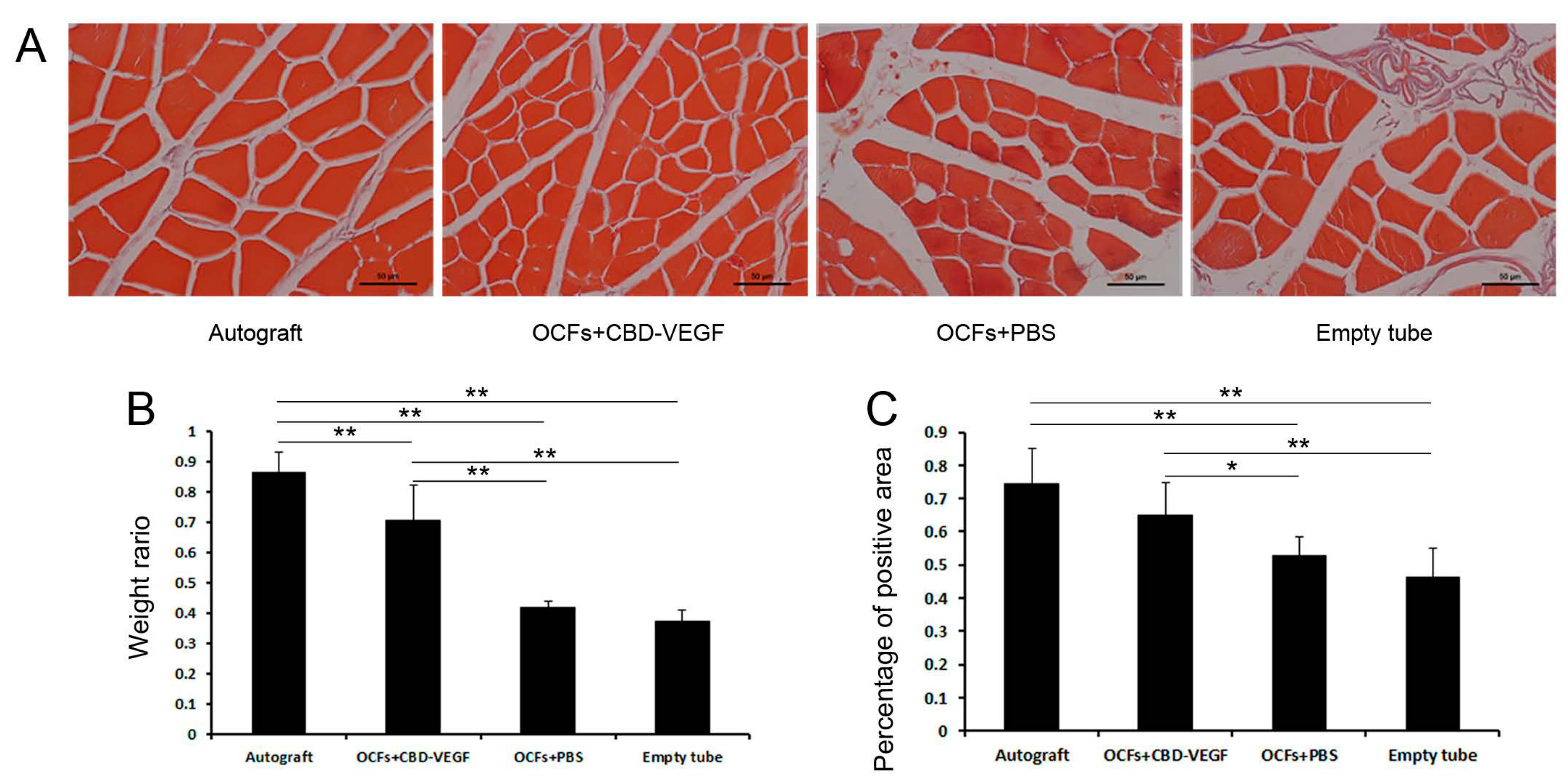 Ijms 15 18593 g008 1024