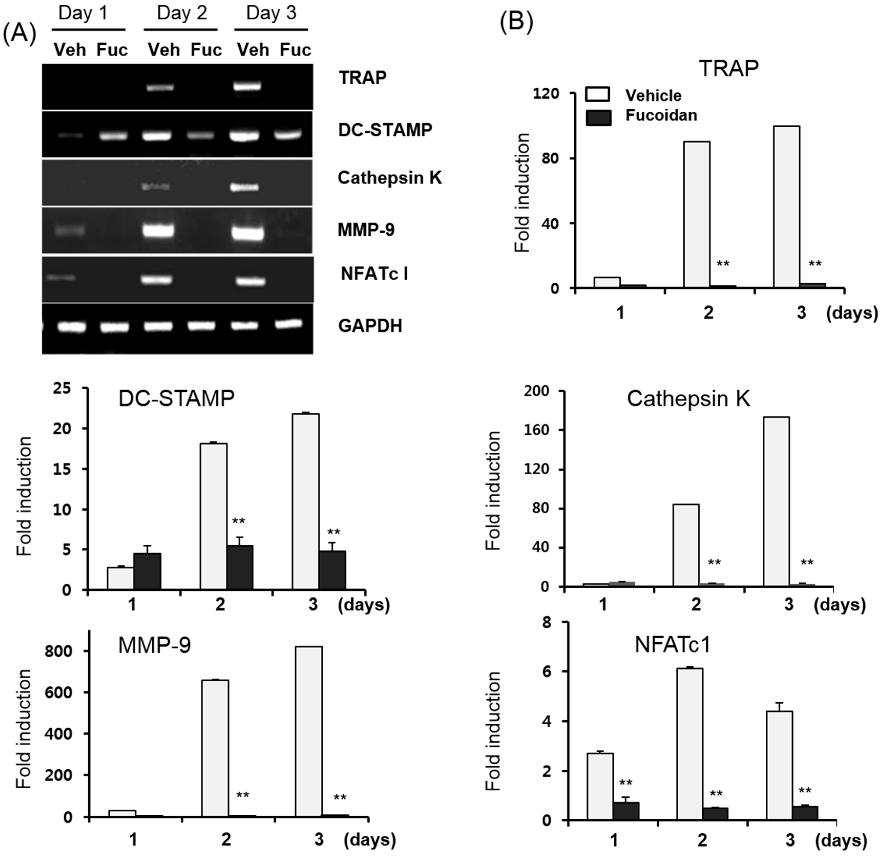 Ijms 15 18840 g003 1024