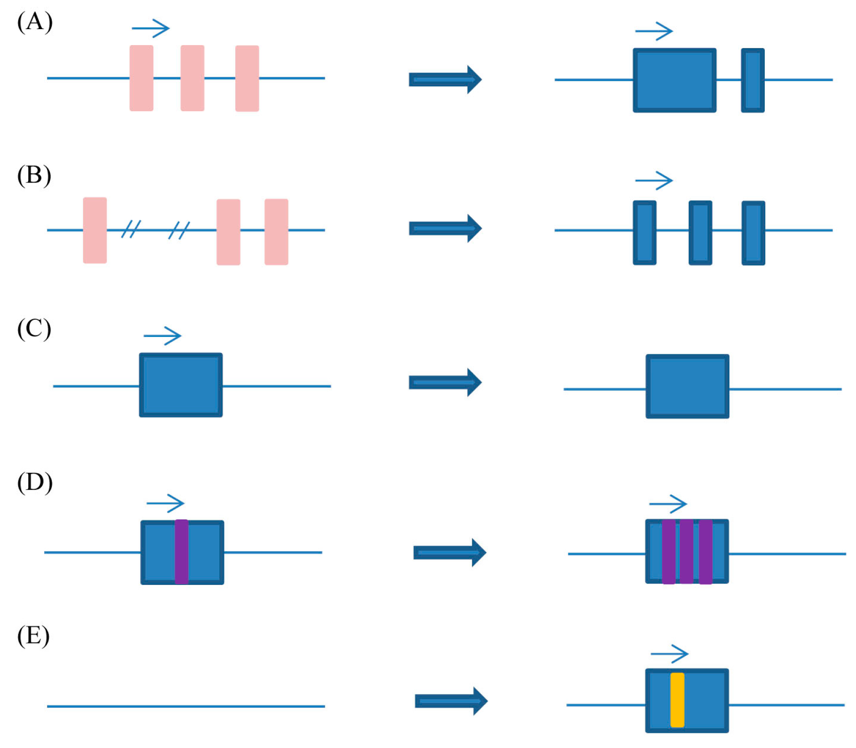 Ijms 15 18985 g001 1024