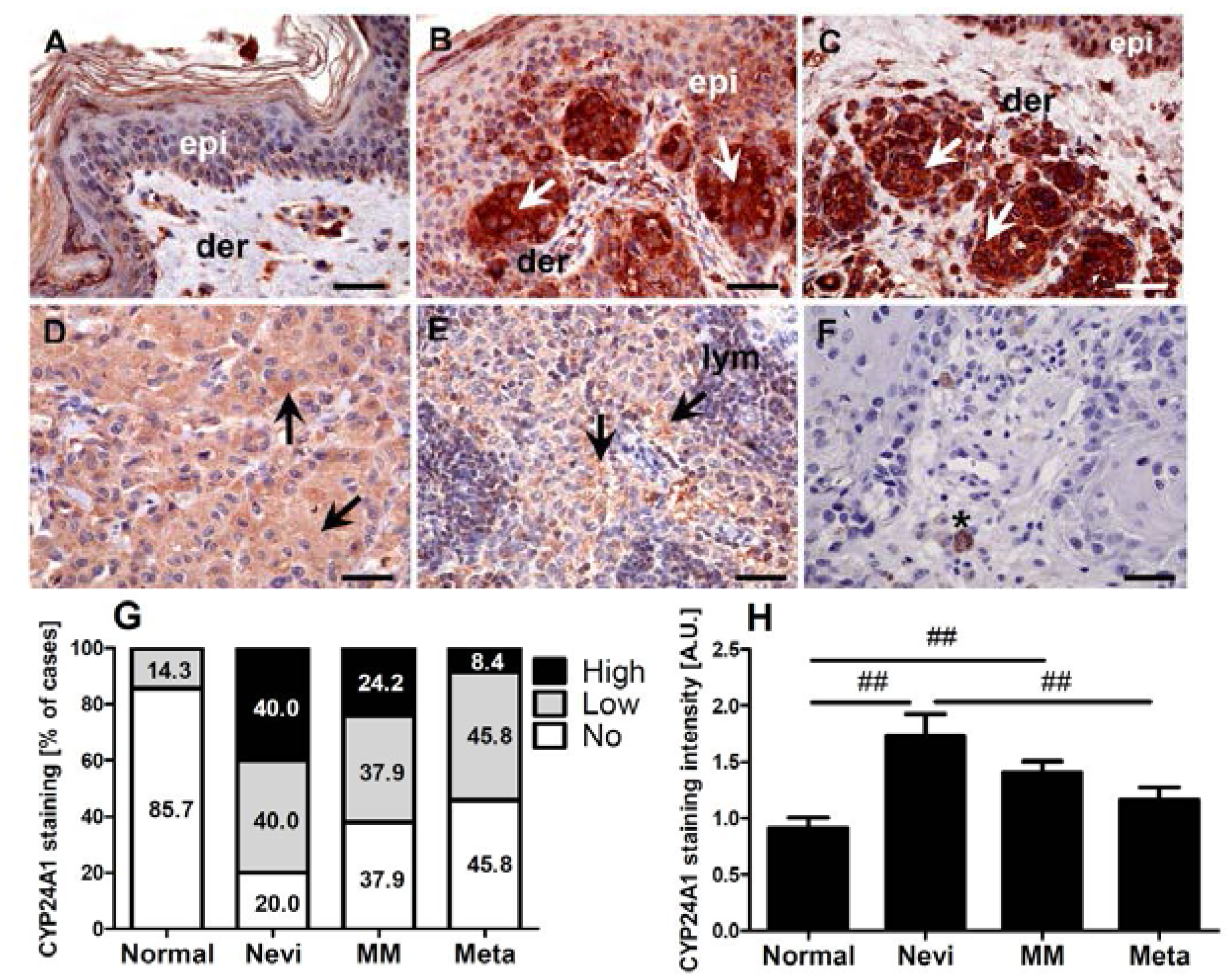 Ijms 15 19000 g001 1024
