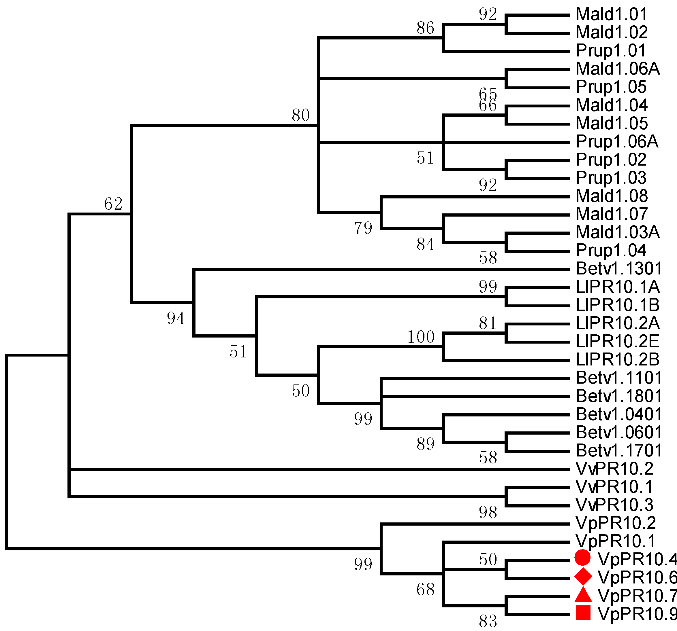 Ijms 15 19162 g002