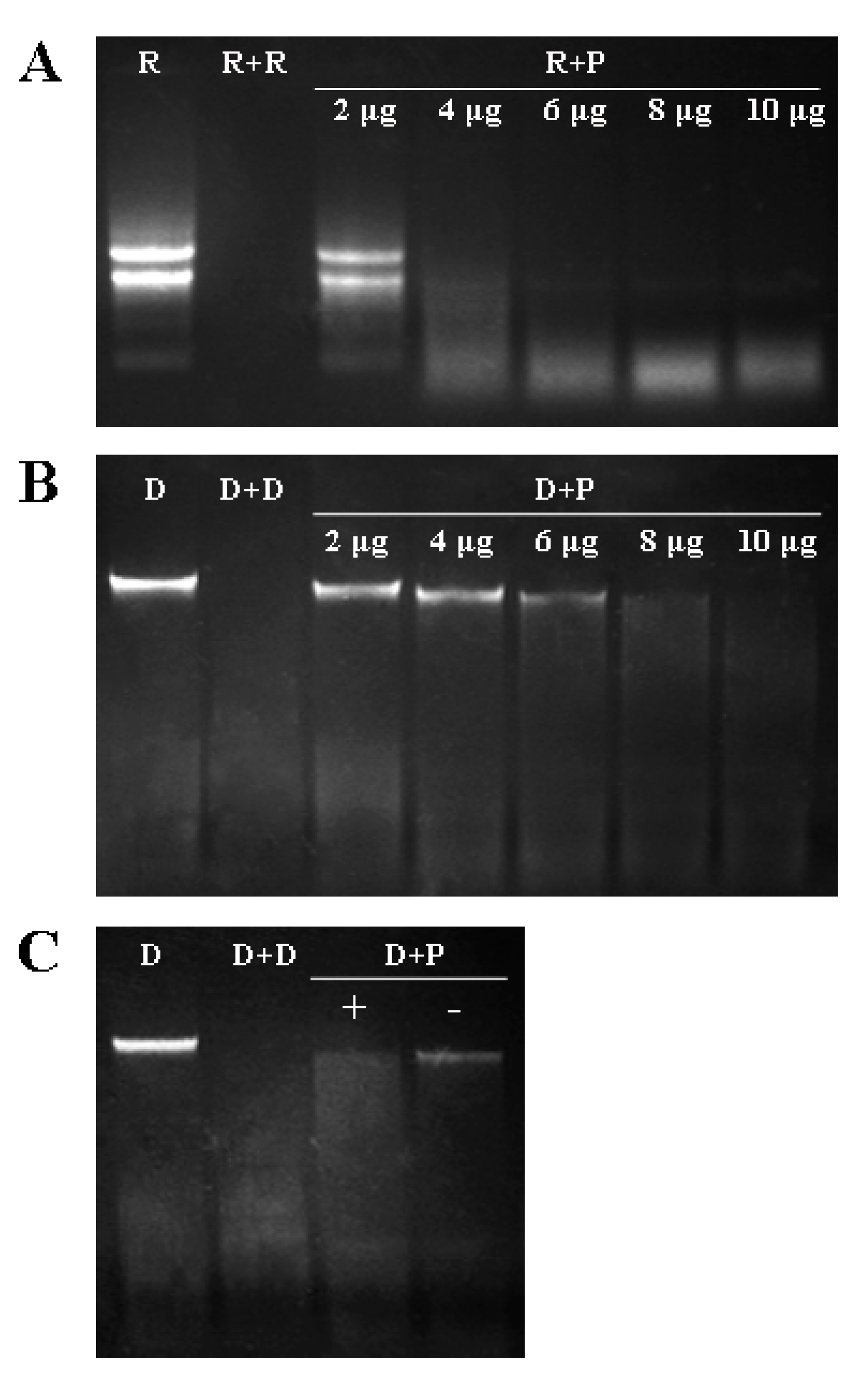 Ijms 15 19162 g004
