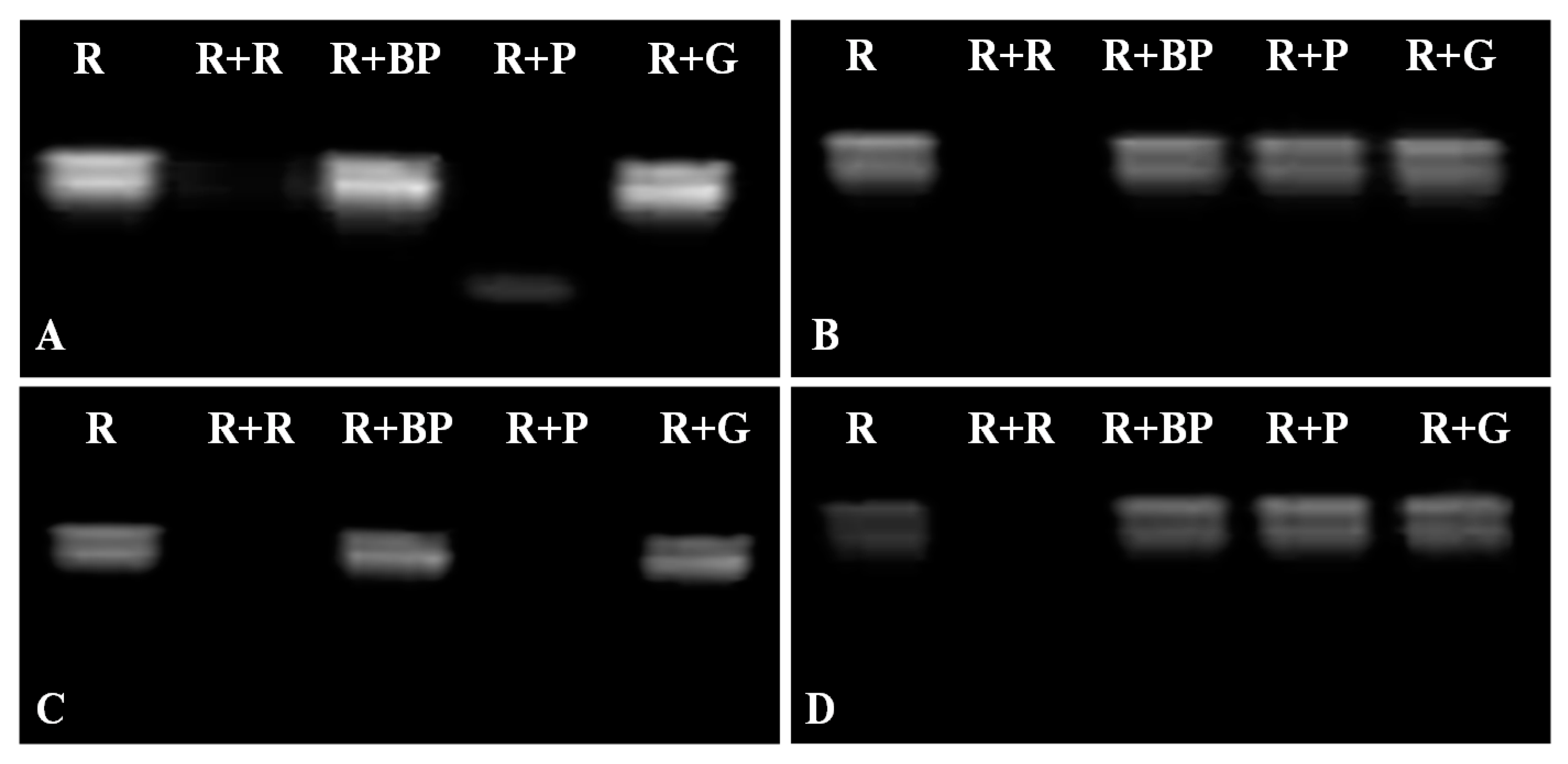 Ijms 15 19162 g005