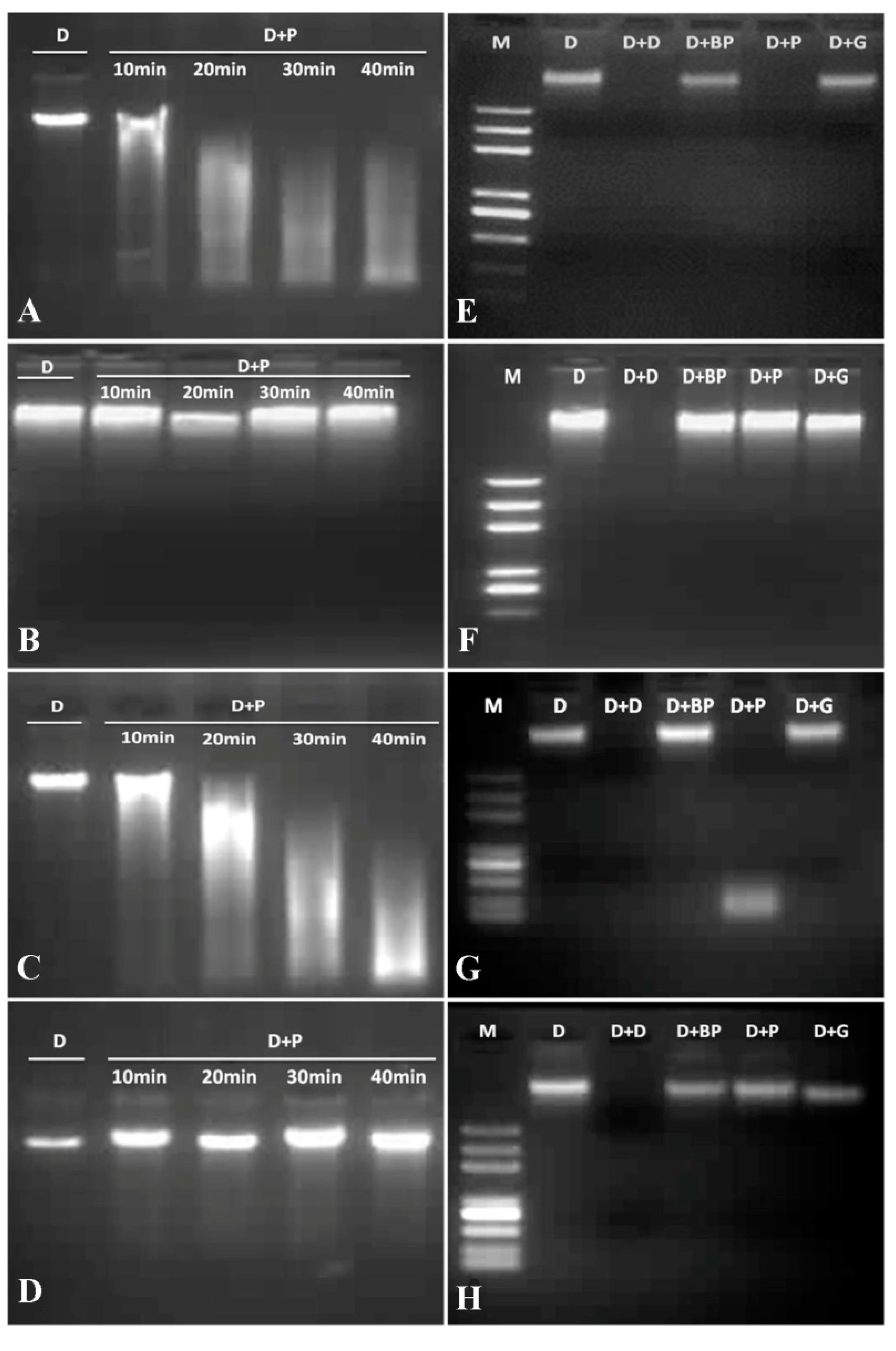 Ijms 15 19162 g006