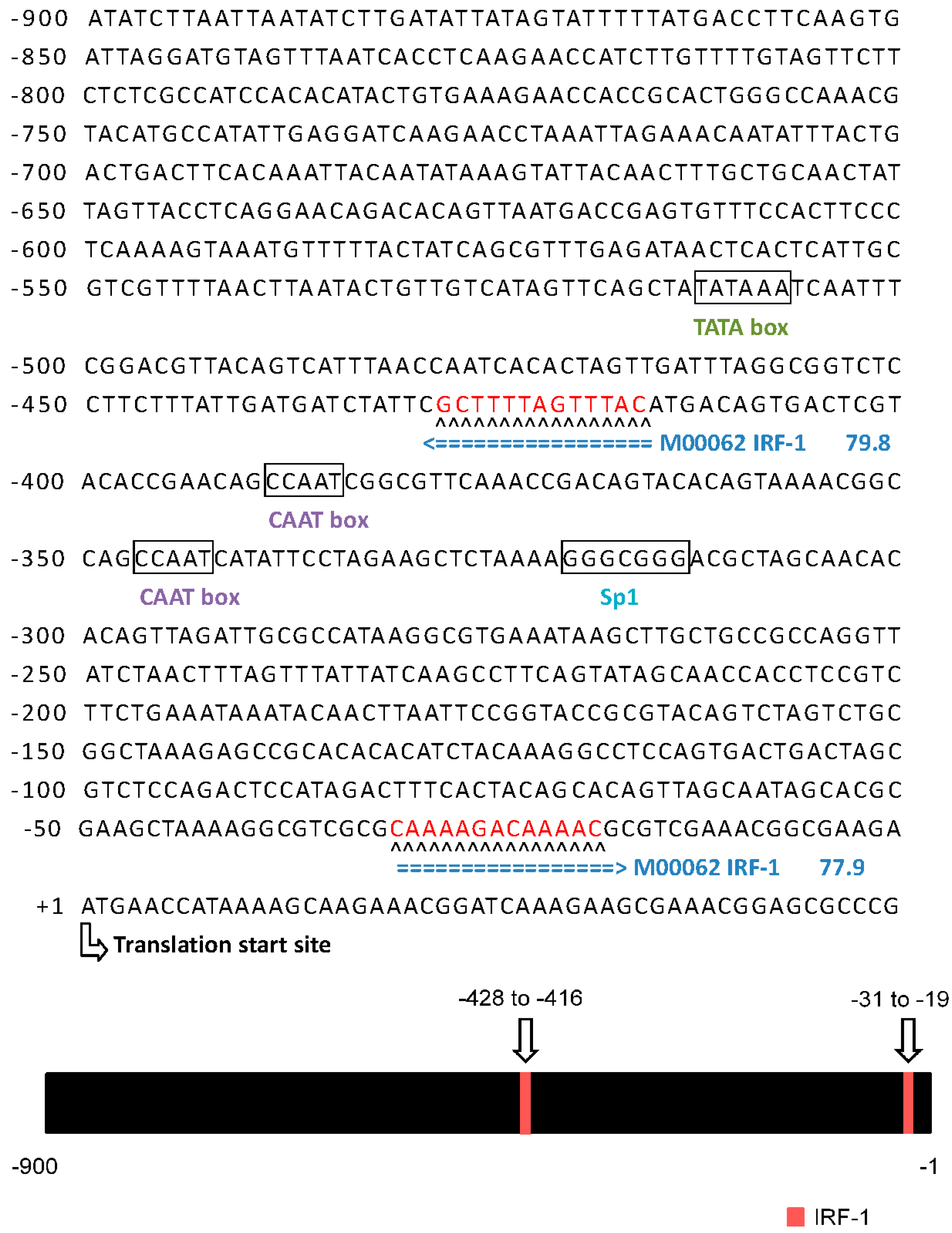 Ijms 15 19281 g004 1024