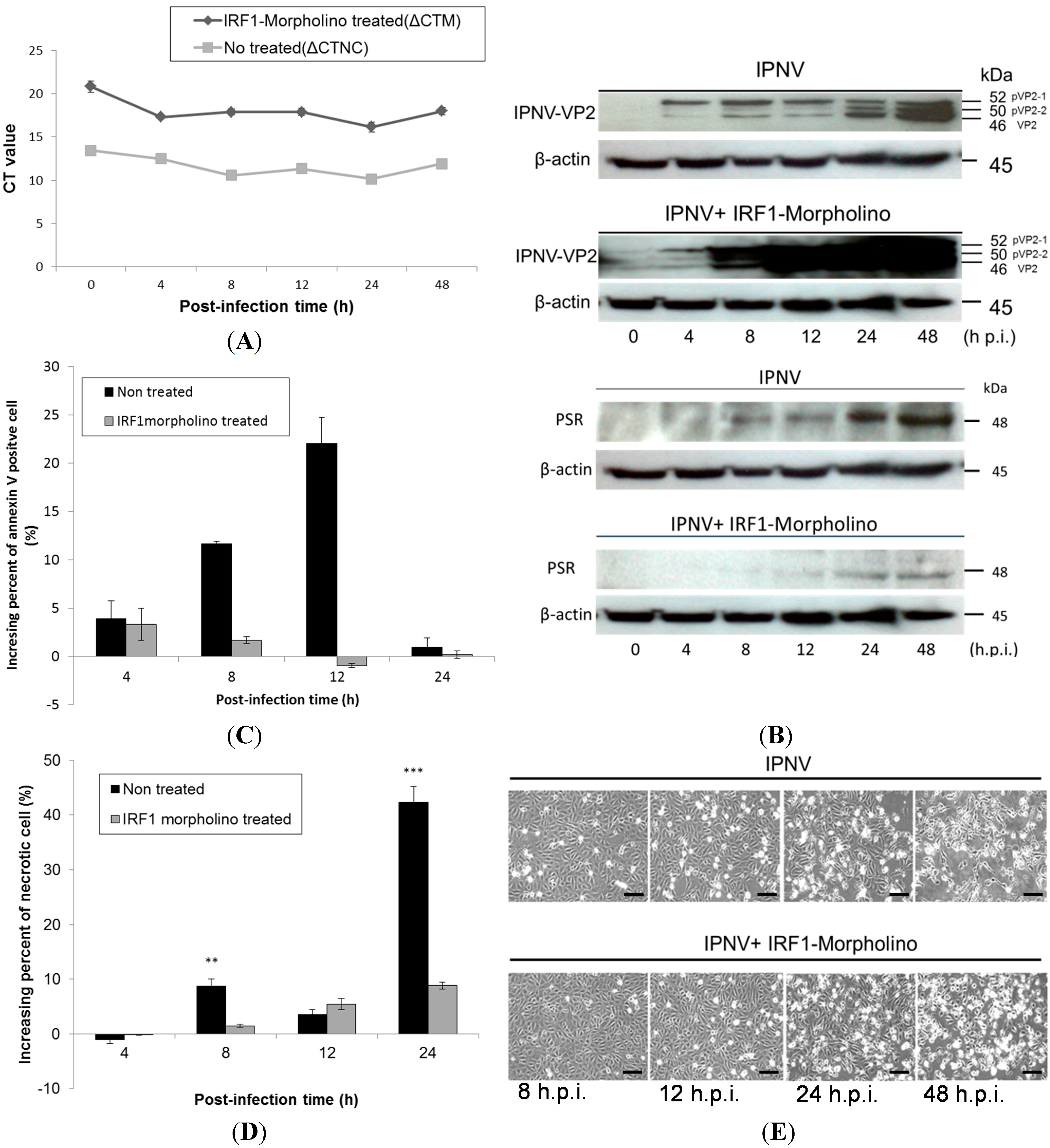 Ijms 15 19281 g006 1024