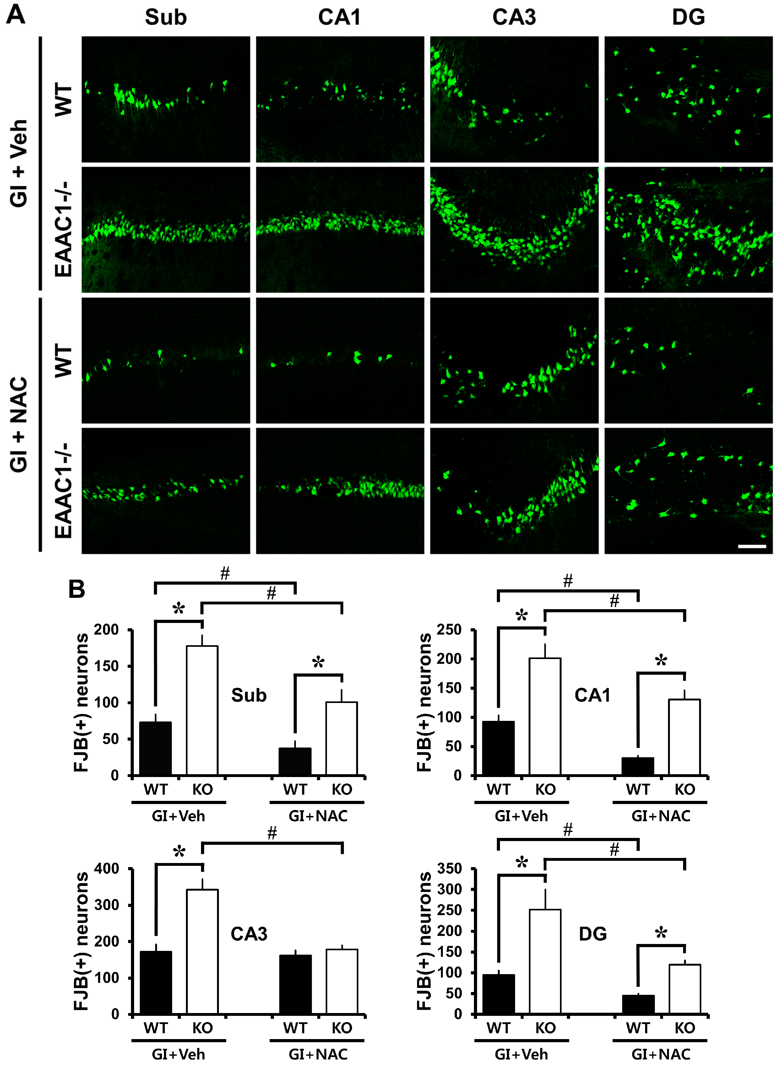 Ijms 15 19444 g001 1024