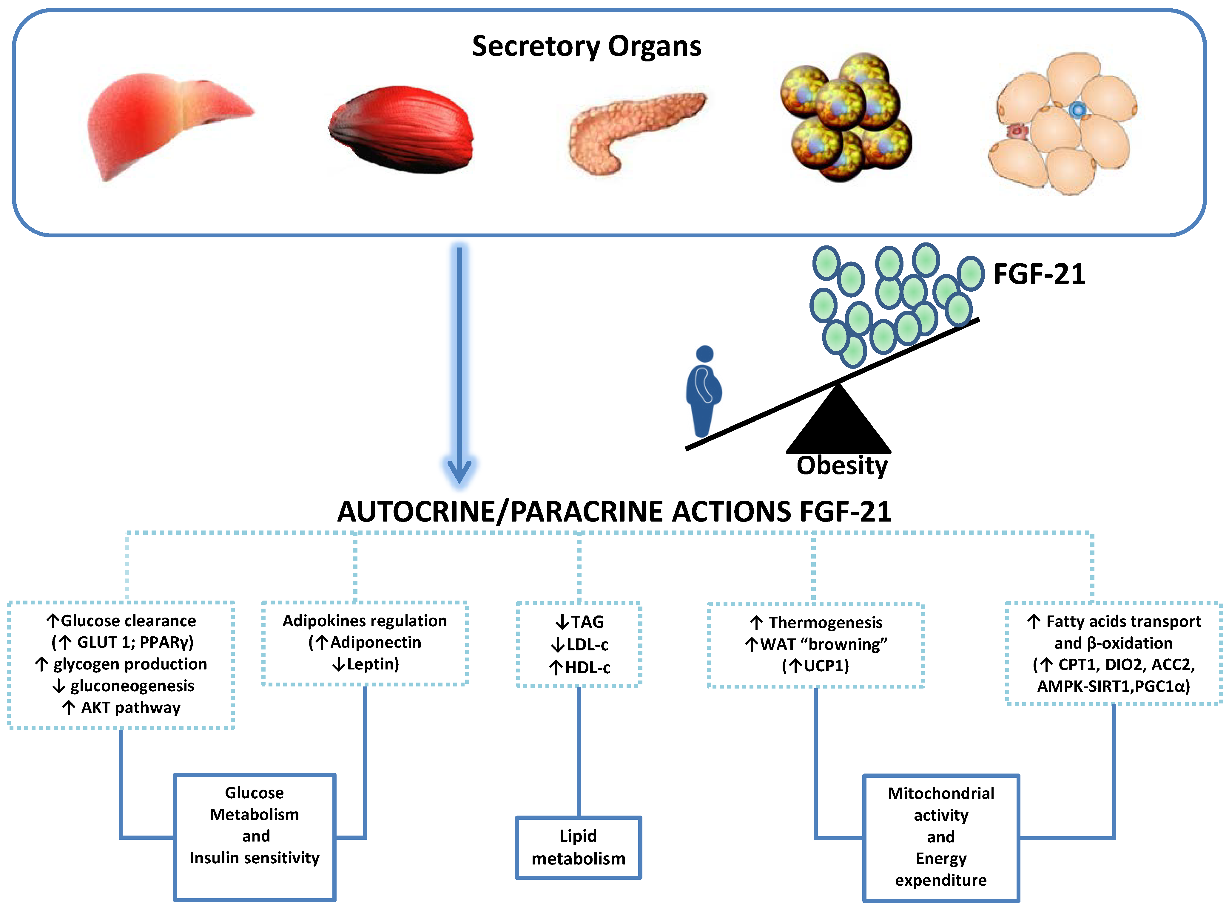 Ijms 15 19760 g002 1024