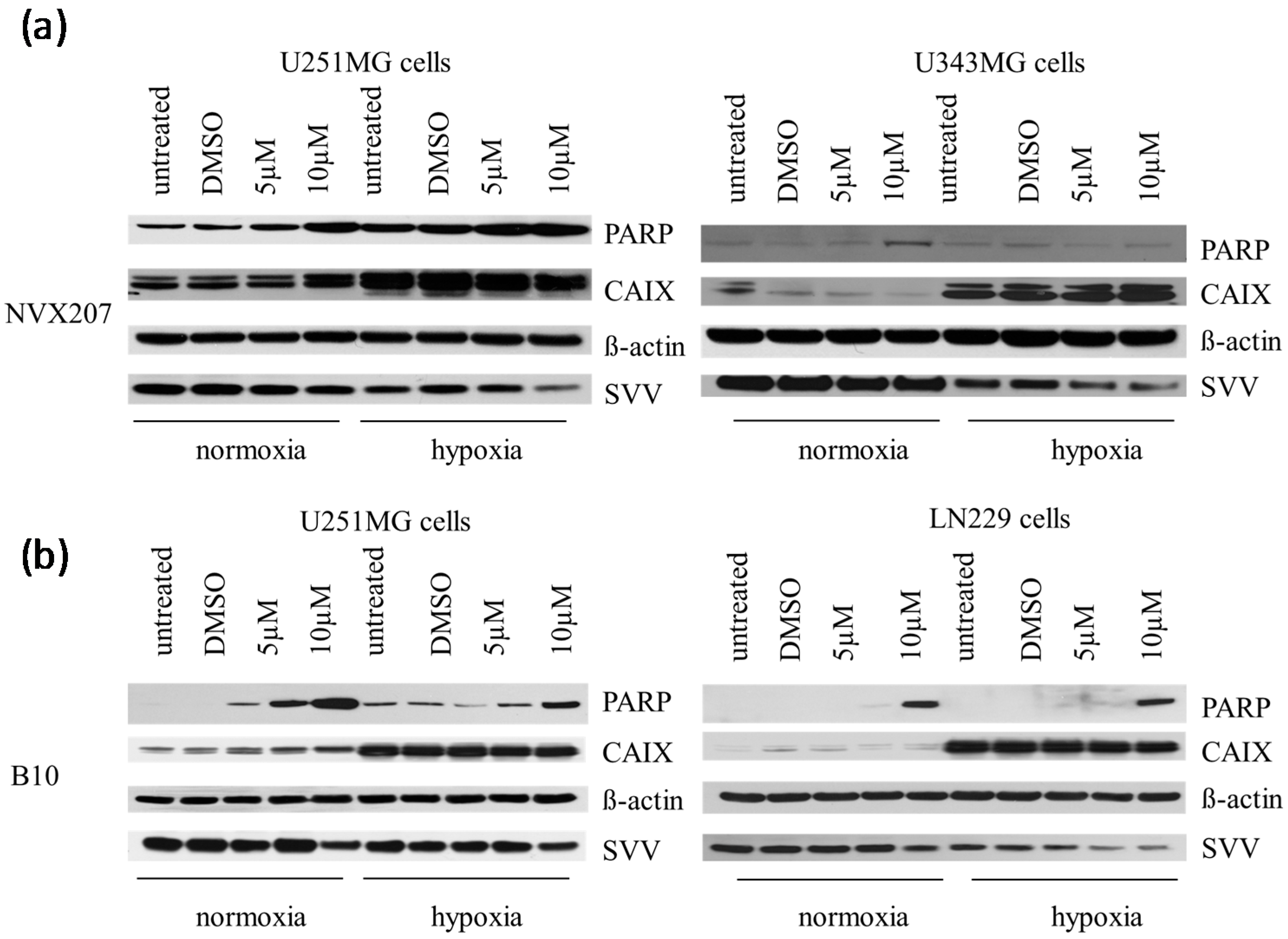 Ijms 15 19777 g004