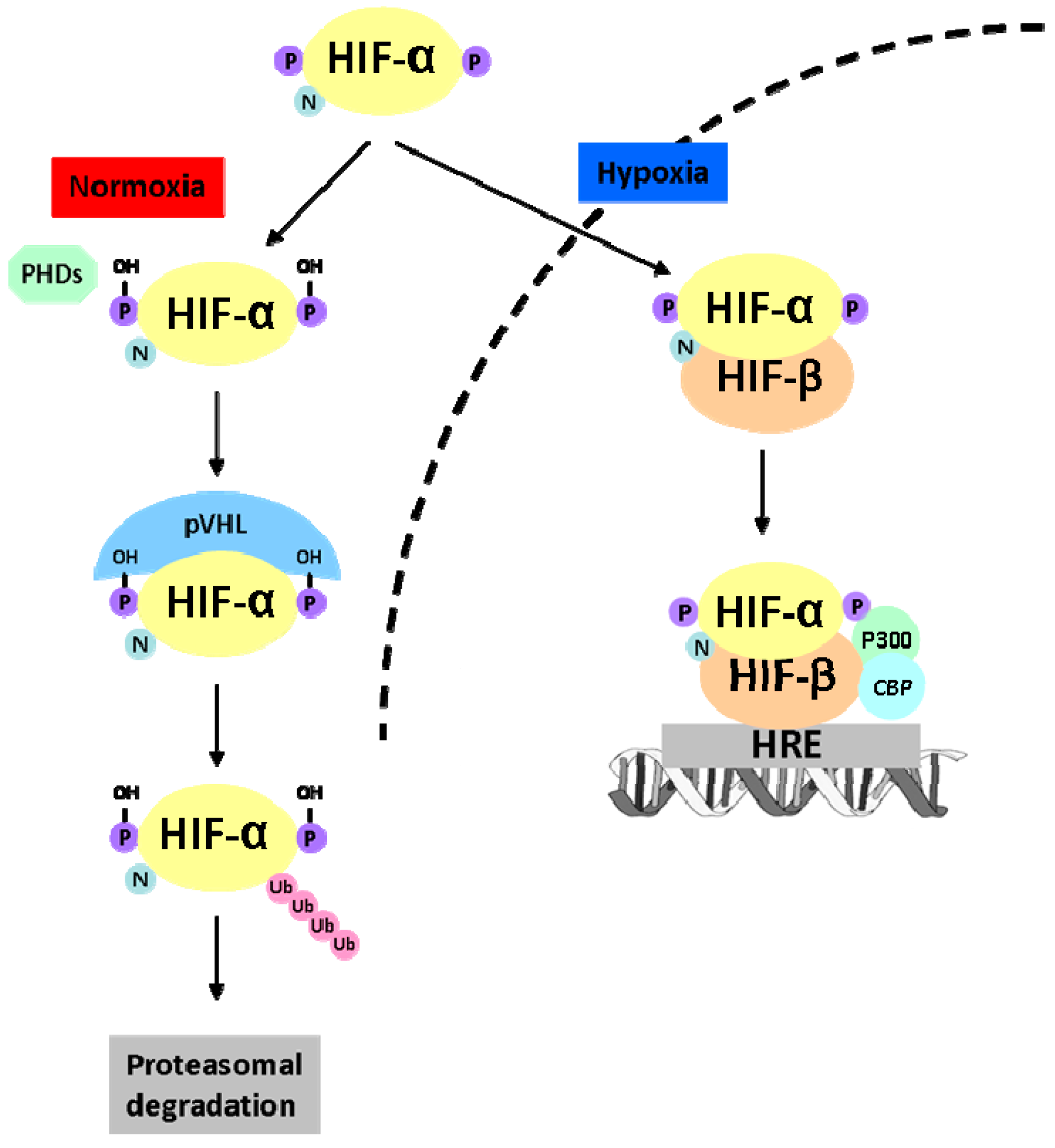 Ijms 15 19791 g003 1024