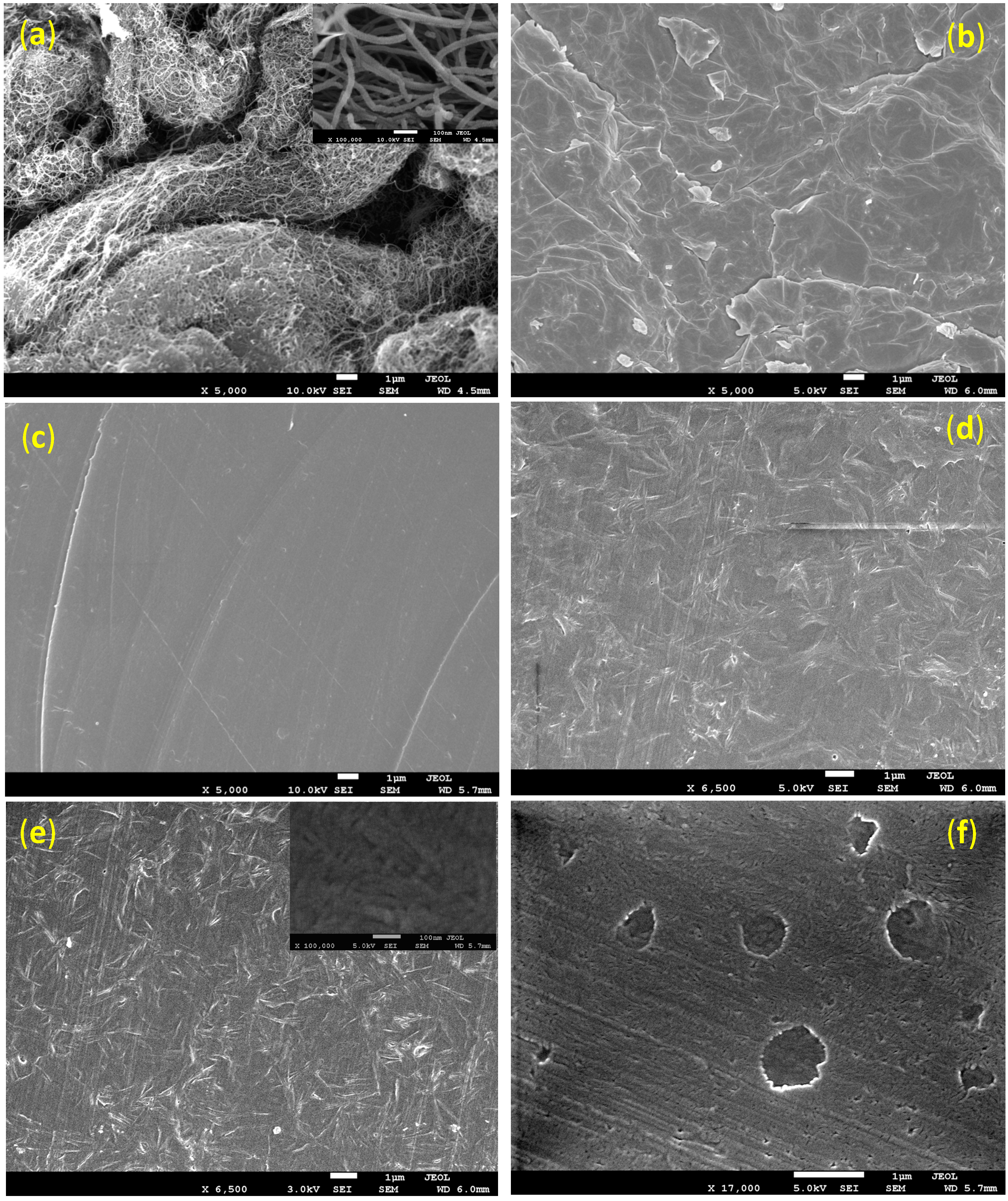 Ijms 15 19924 g001 1024