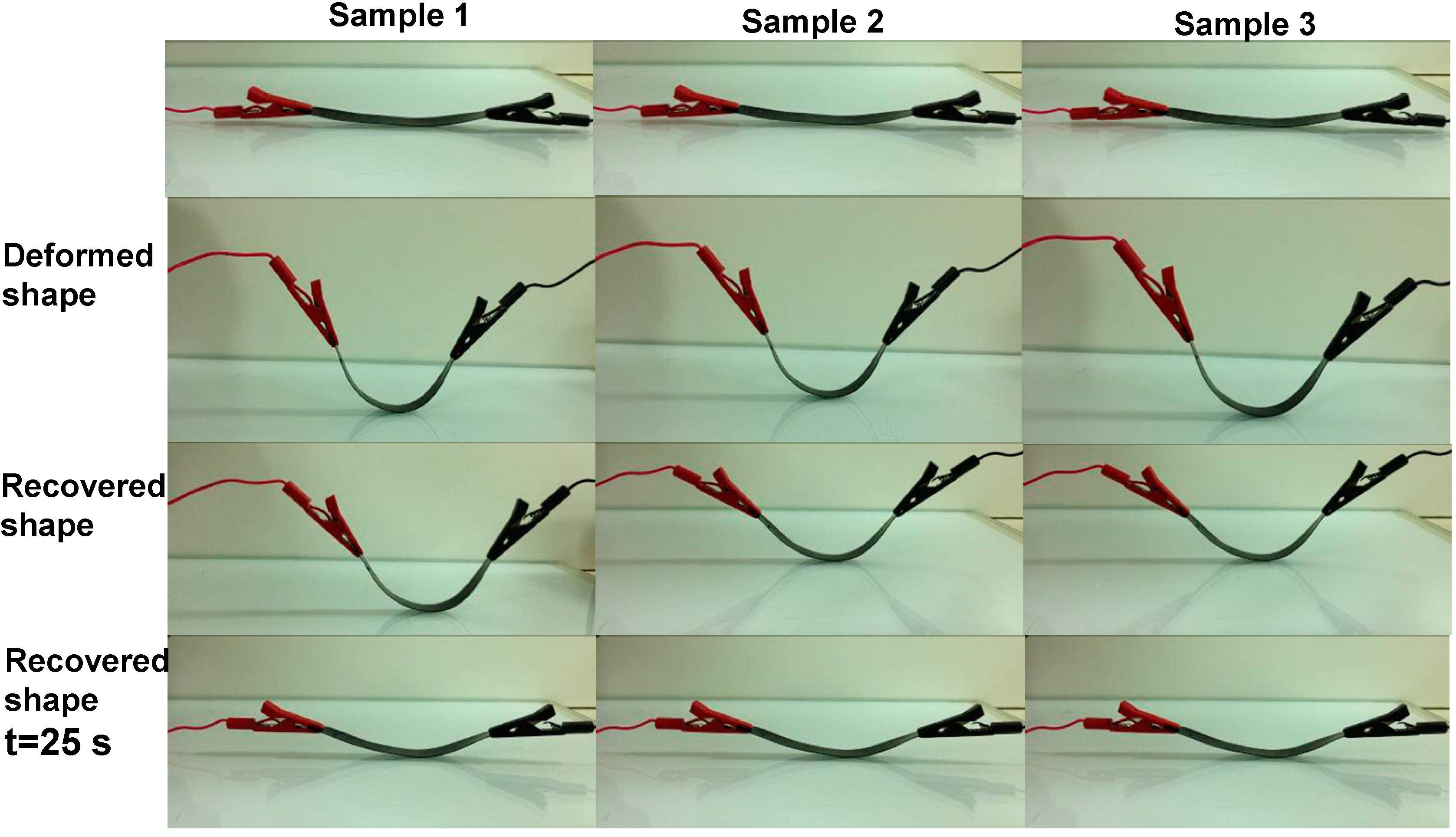 Ijms 15 19924 g006 1024