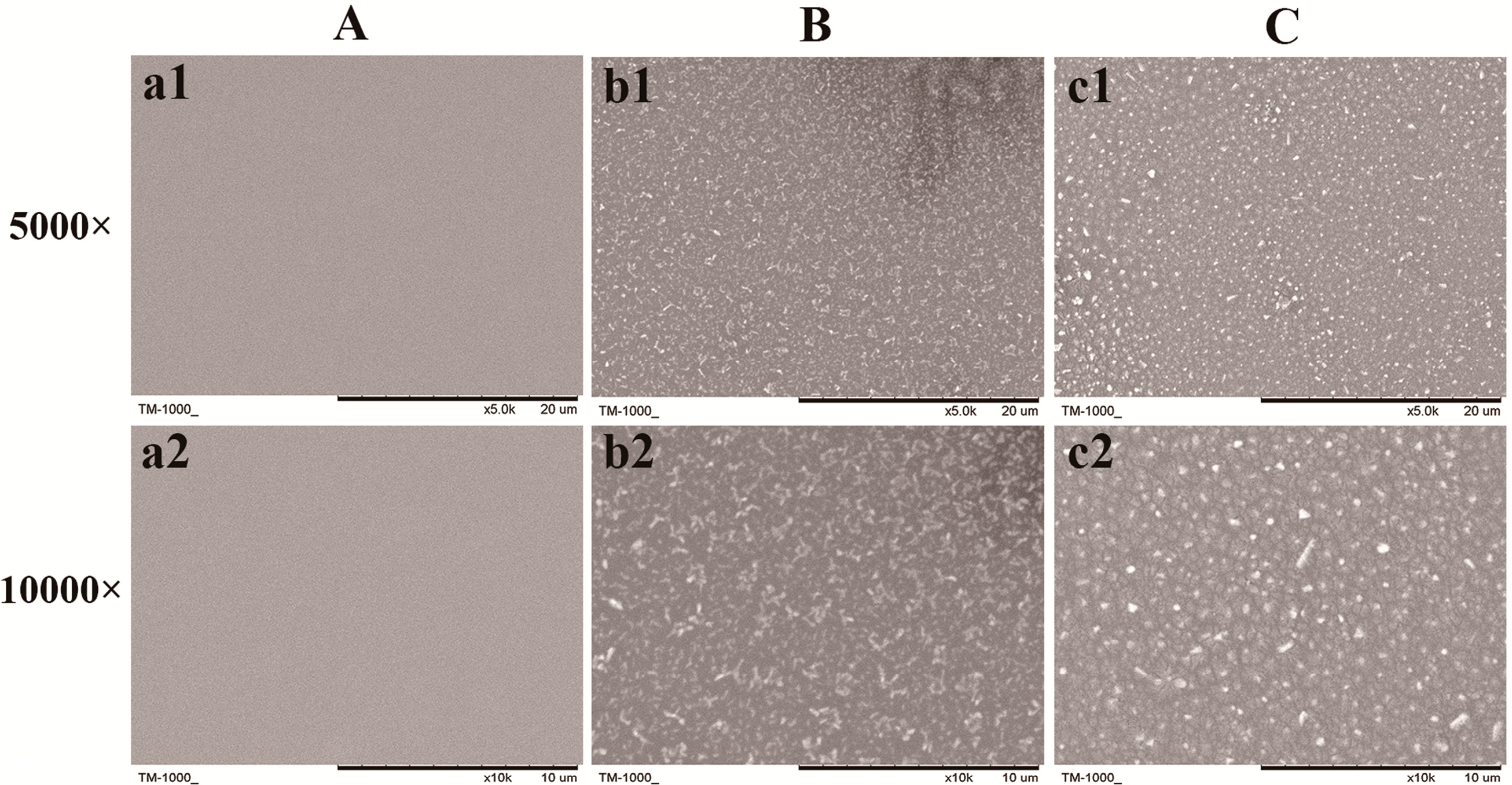 Ijms 15 20117 g003
