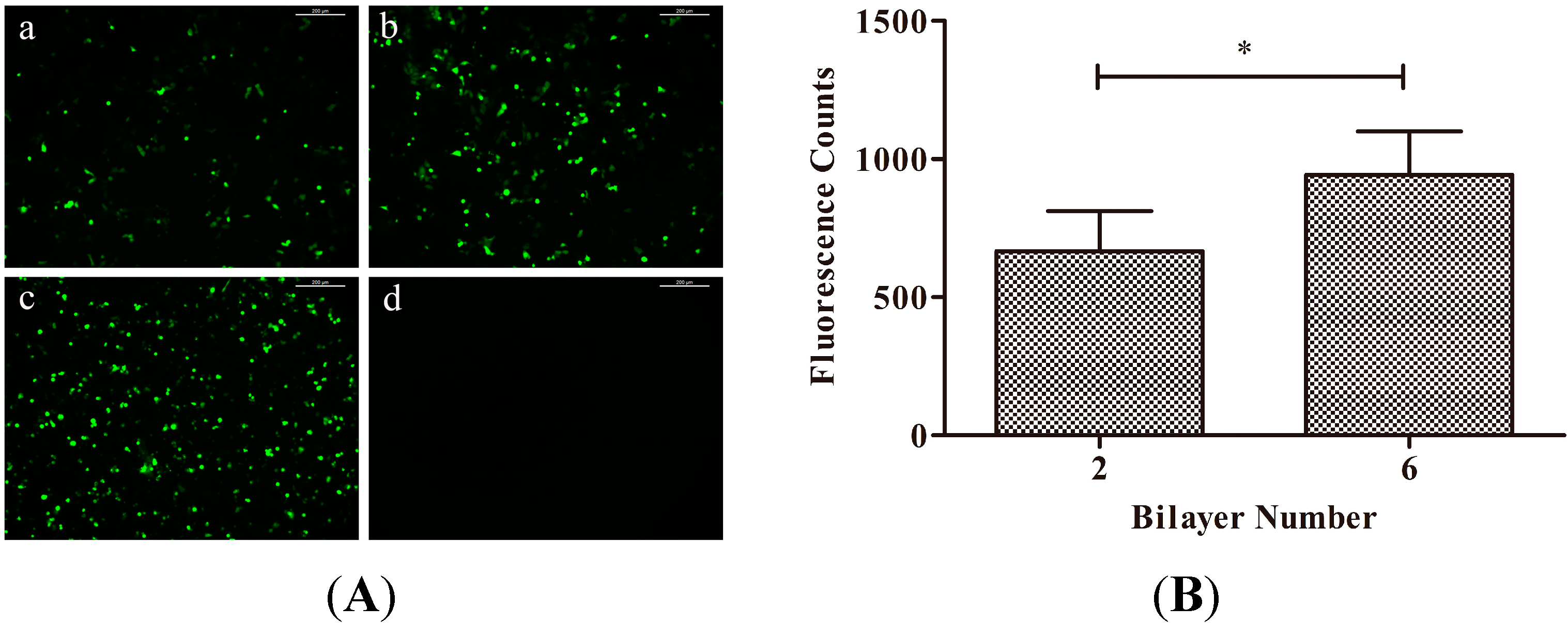 Ijms 15 20117 g005