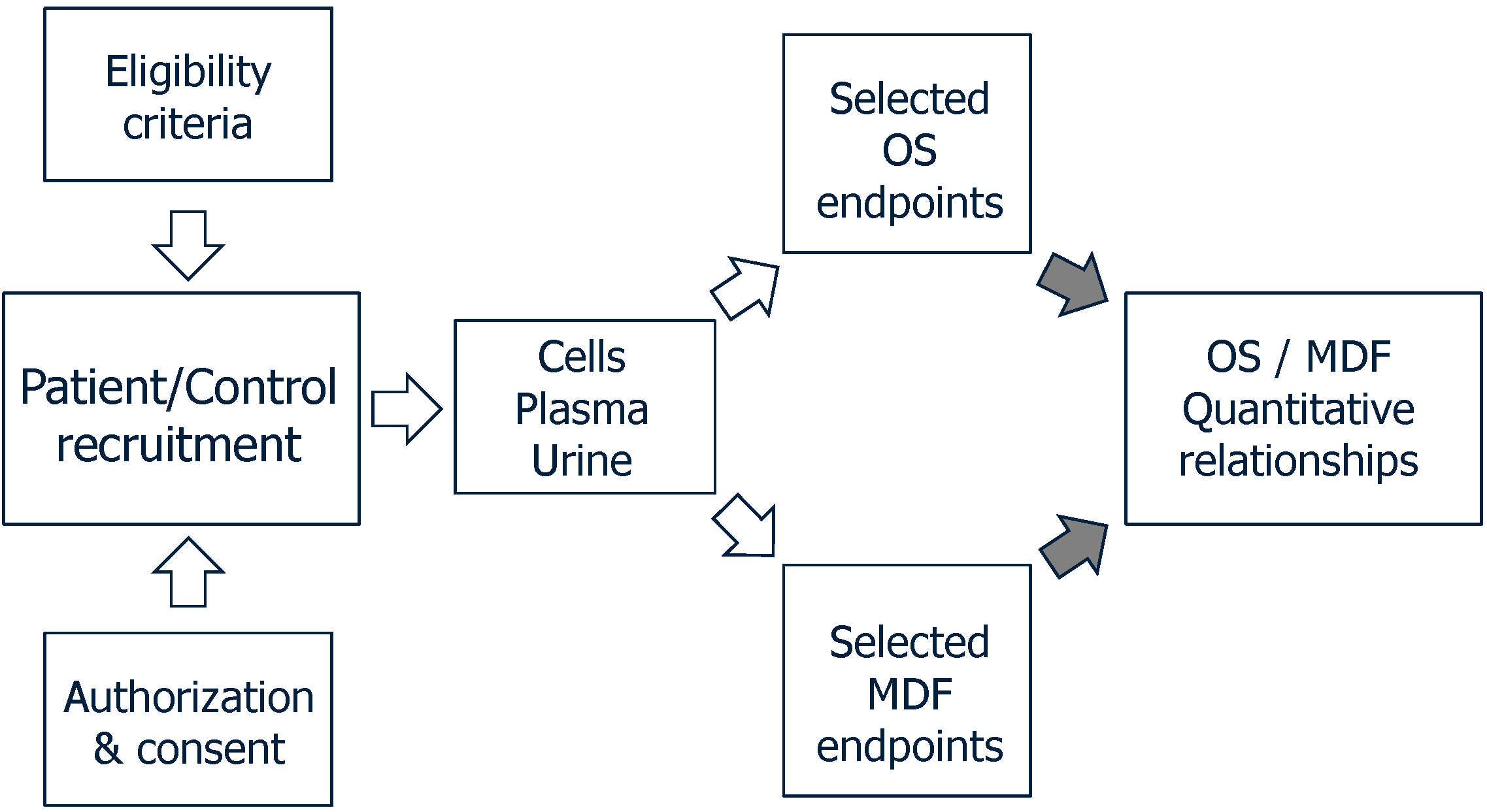 Ijms Free Full Text Current Experience In Testing