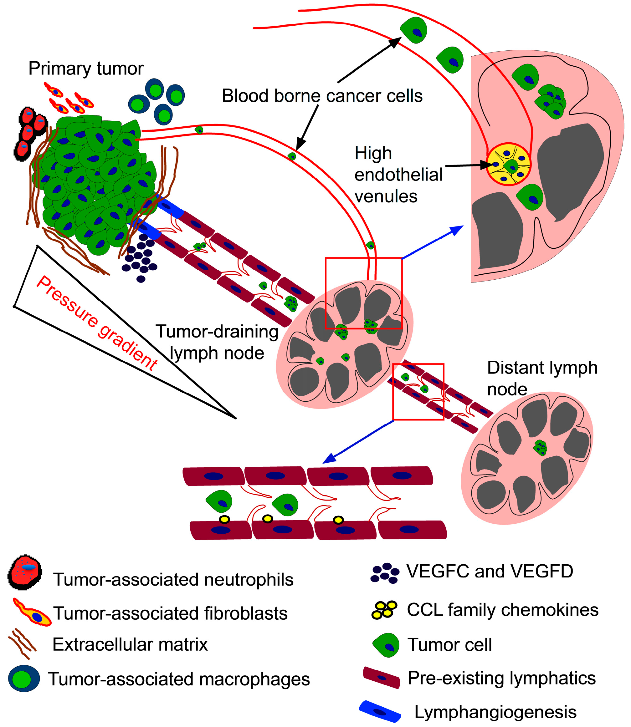 free integrated drug discovery