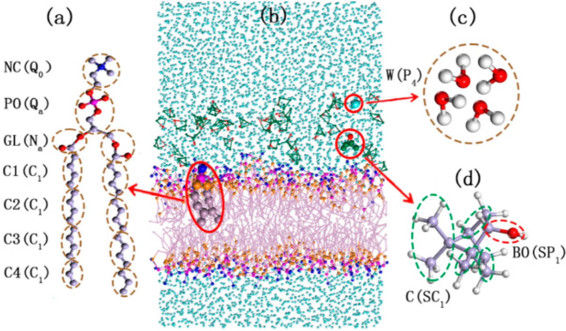 Ijms 15 20365 g001 1024