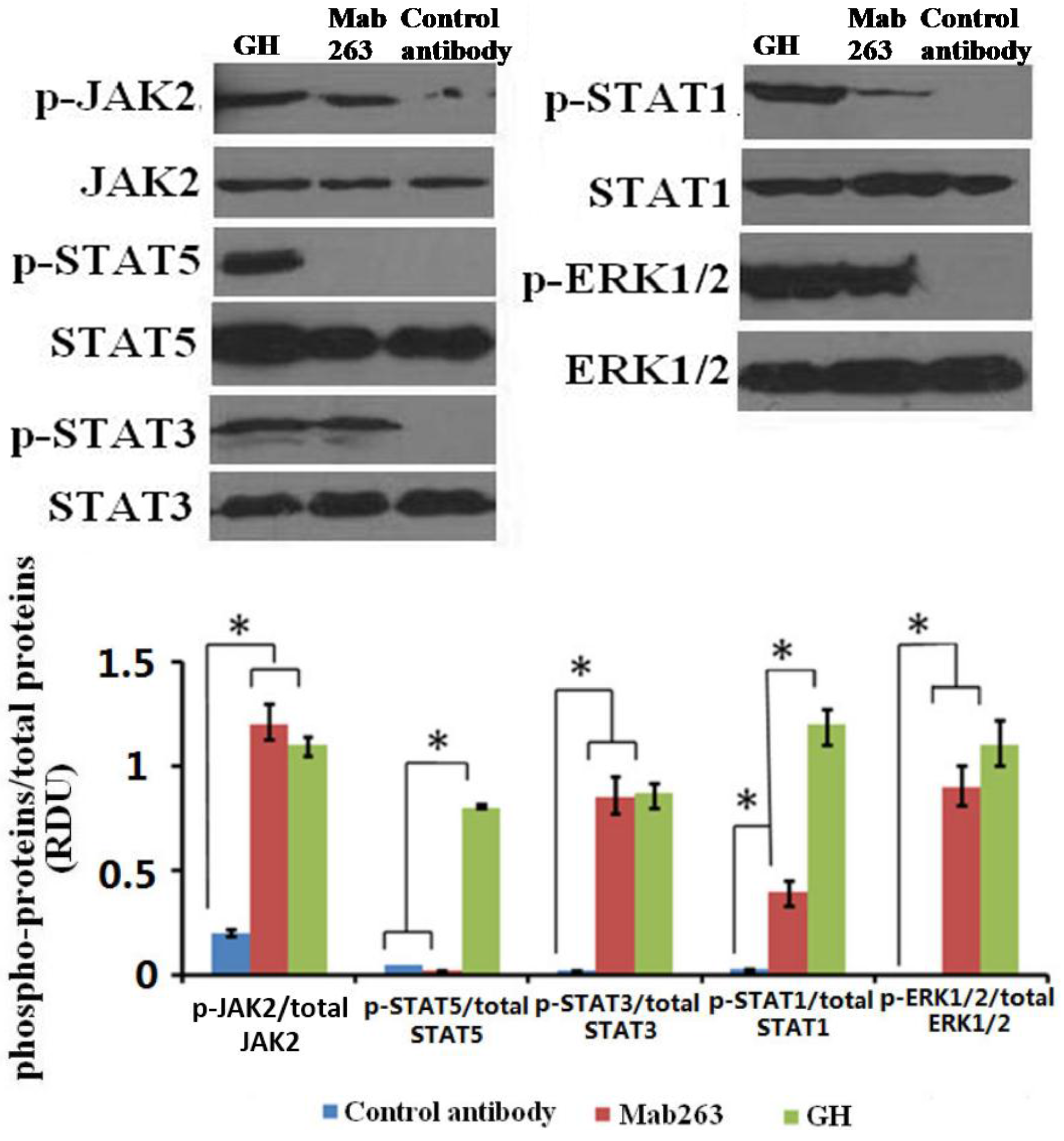 Ijms 15 20538 g002 1024