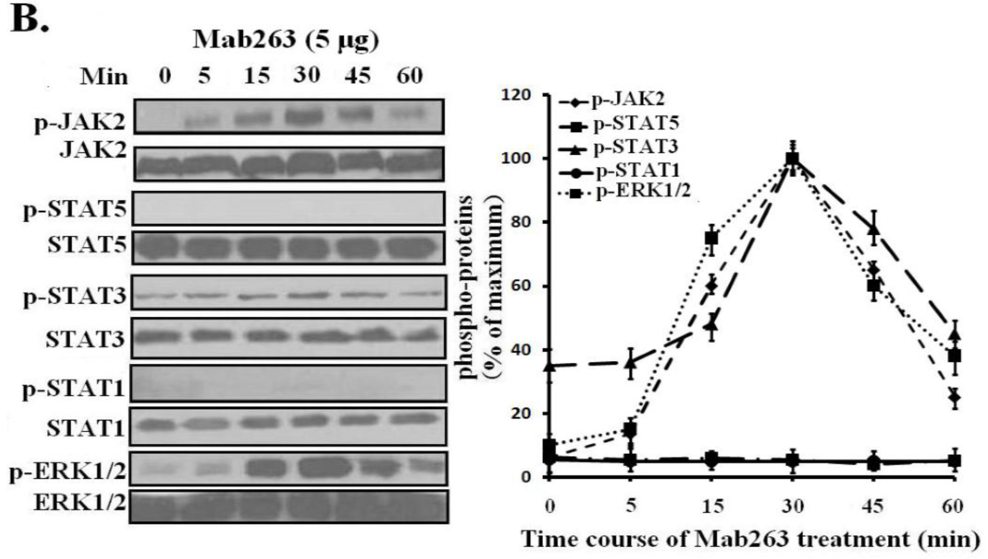 Ijms 15 20538 g004b 1024