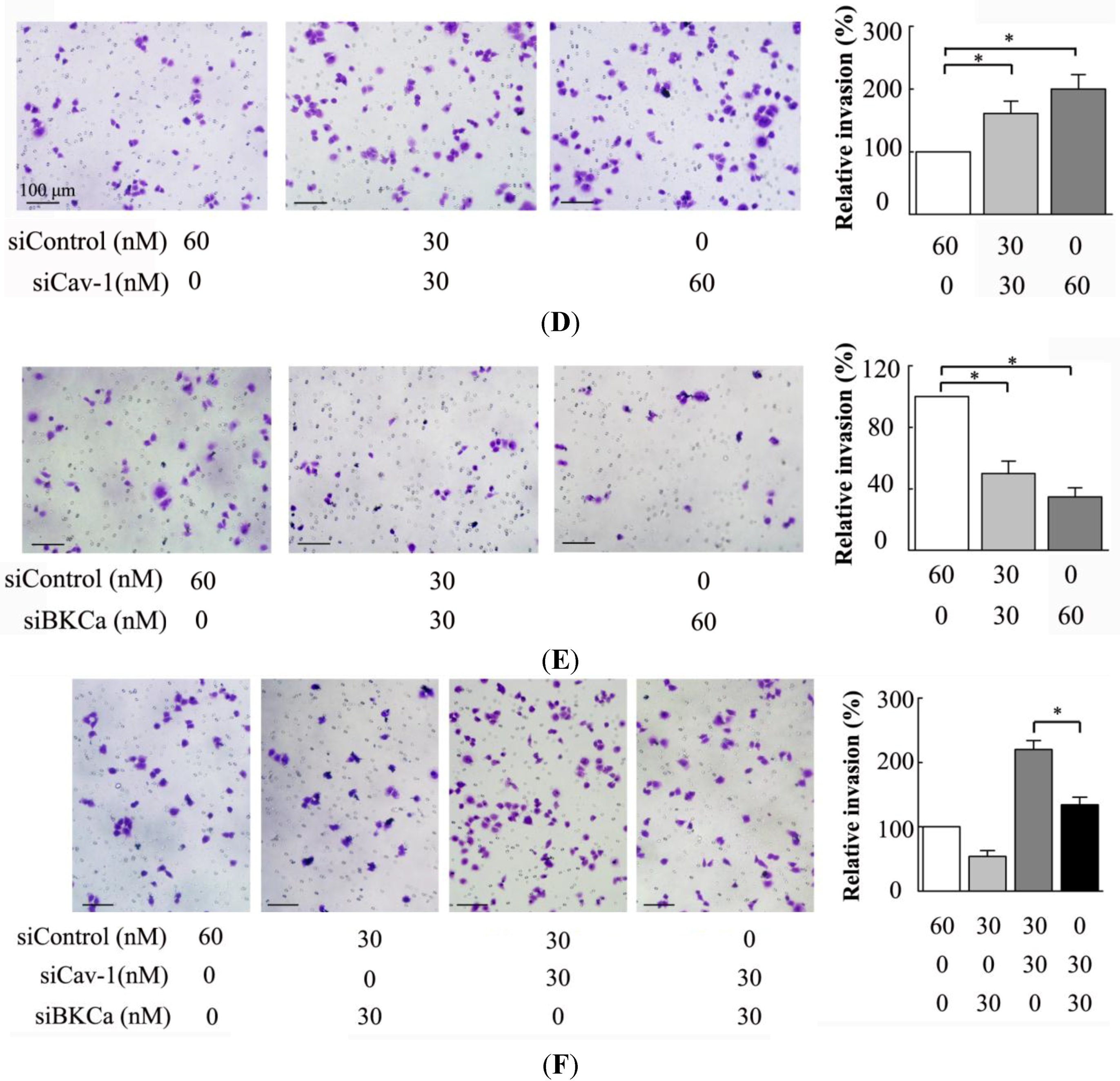 Ijms 15 20706 g003b 1024