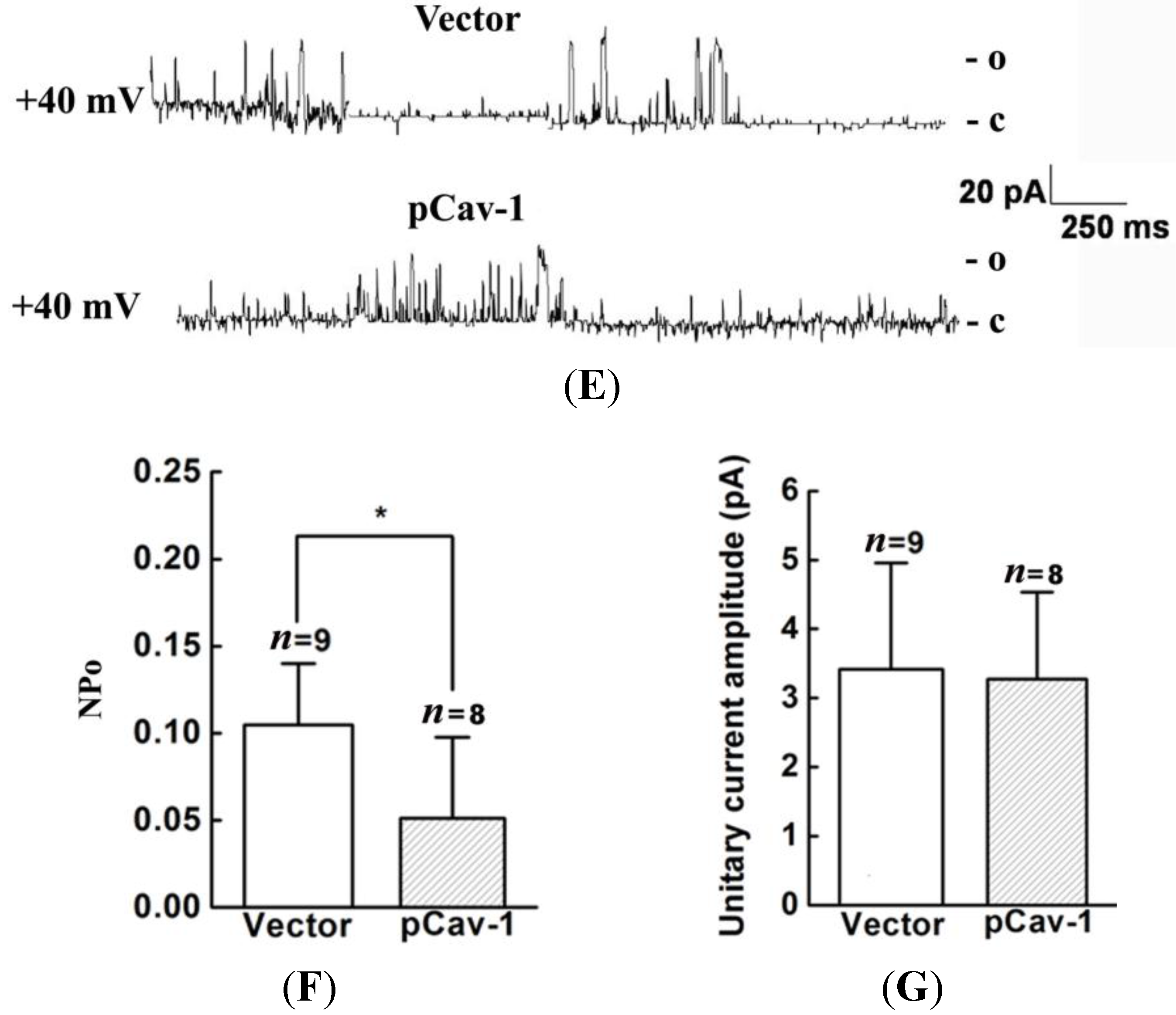 Ijms 15 20706 g004b 1024