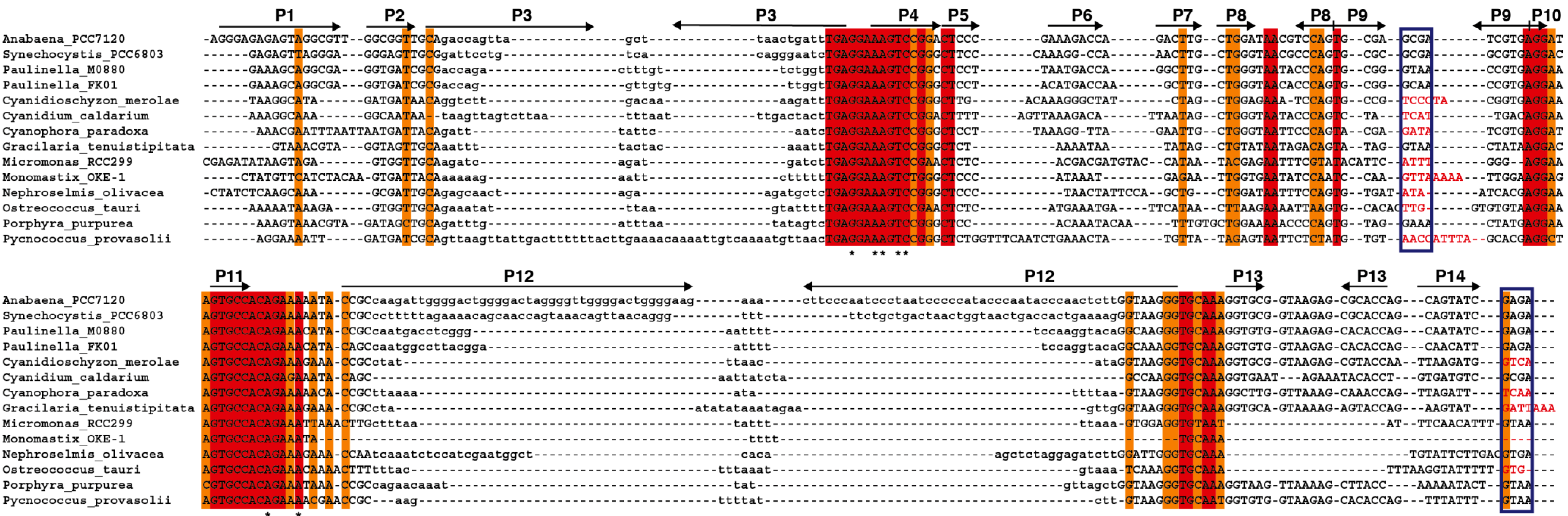Ijms 15 20859 g005a 1024