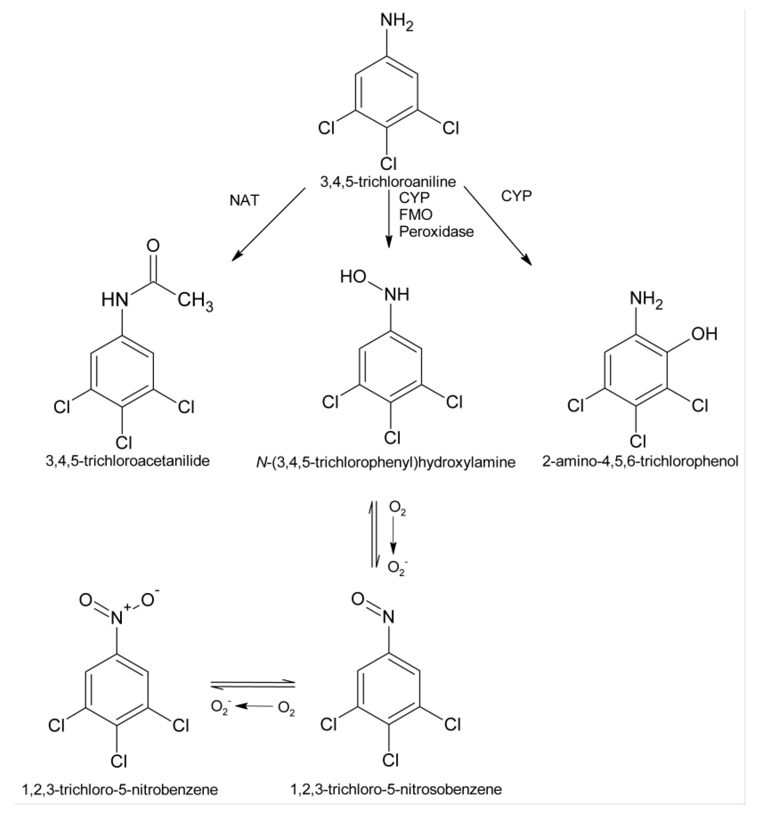 Ijms 15 20900 g005 1024
