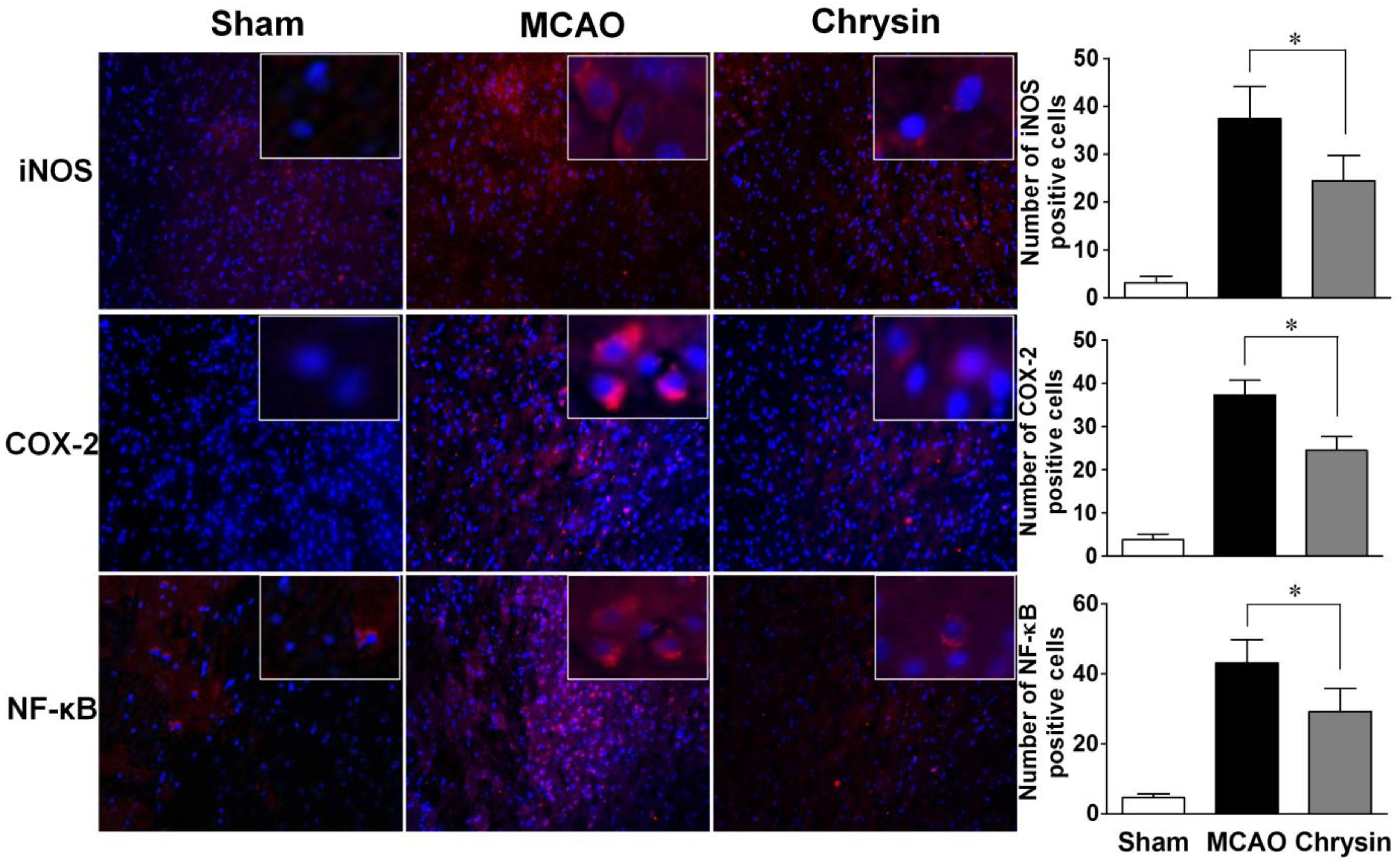 Ijms 15 20913 g003 1024