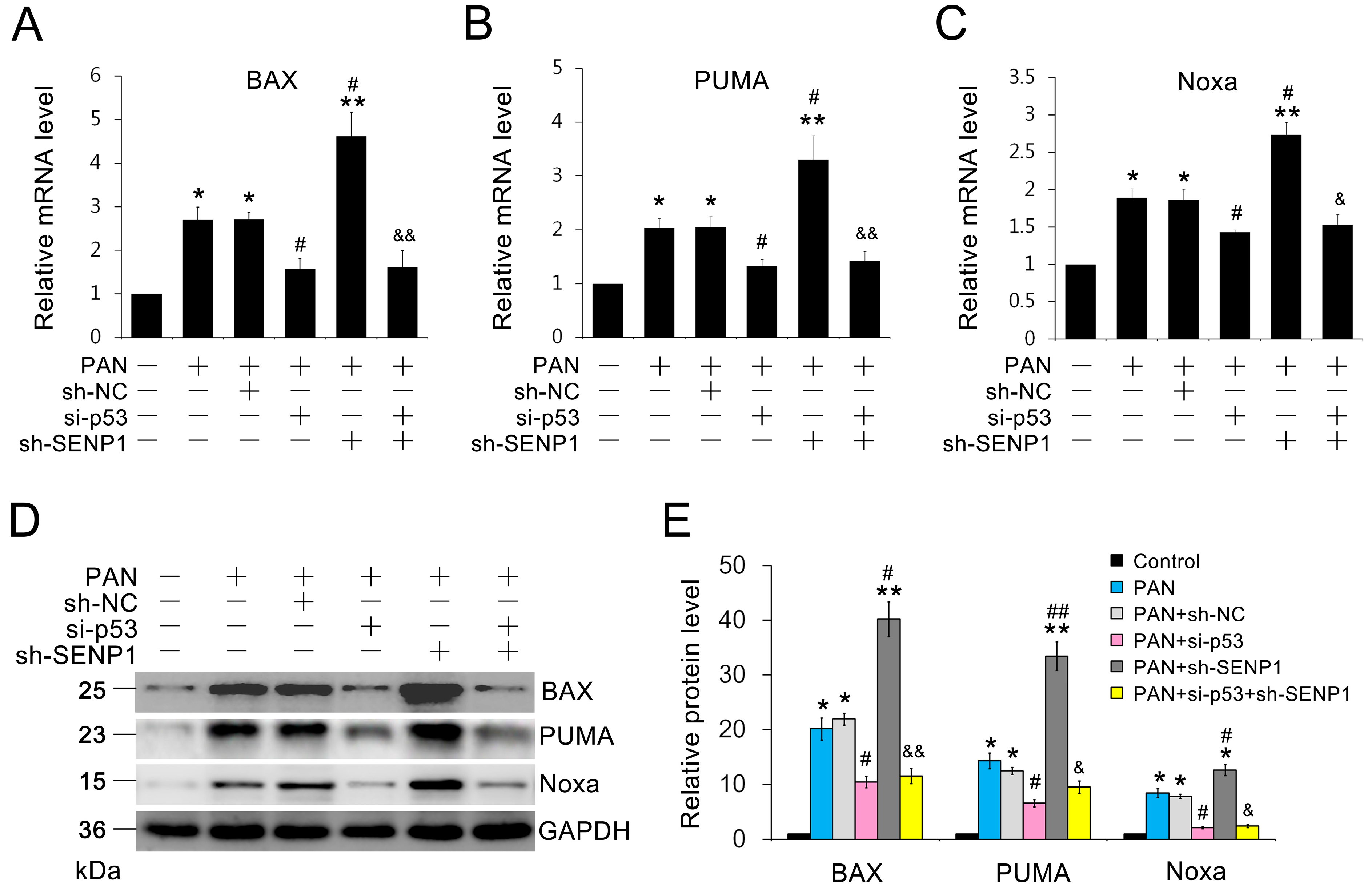 Ijms 15 21314 g005 1024