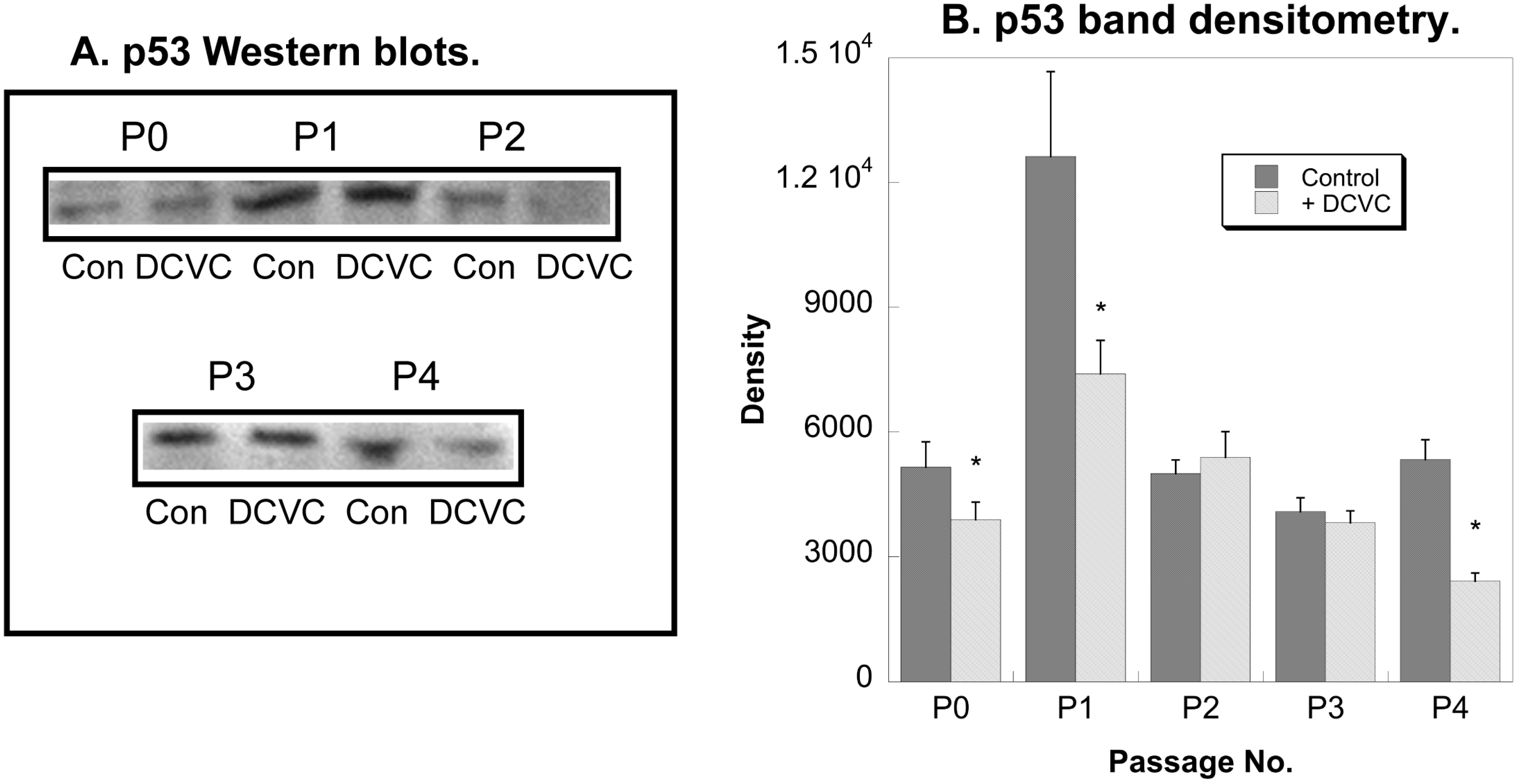 Ijms 15 21348 g007 1024