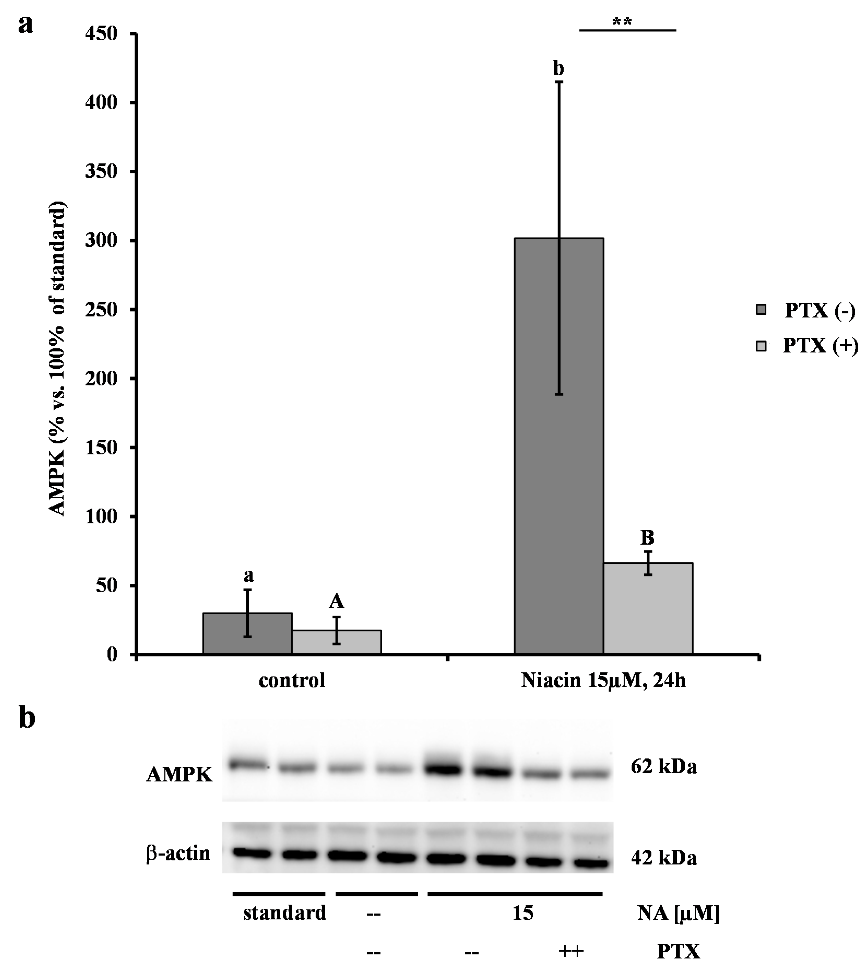 Ijms 15 21401 g002 1024
