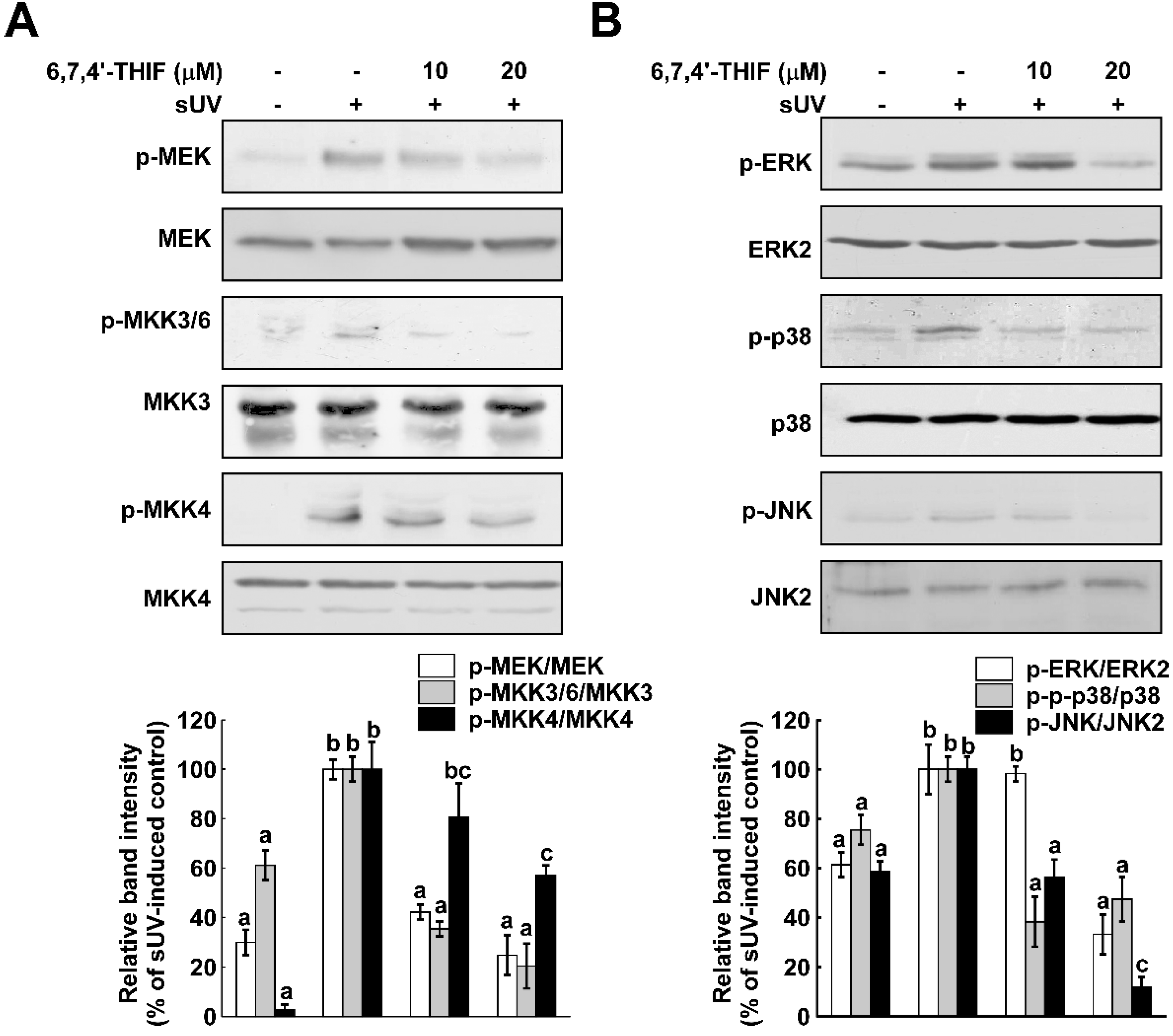 Ijms 15 21419 g003 1024