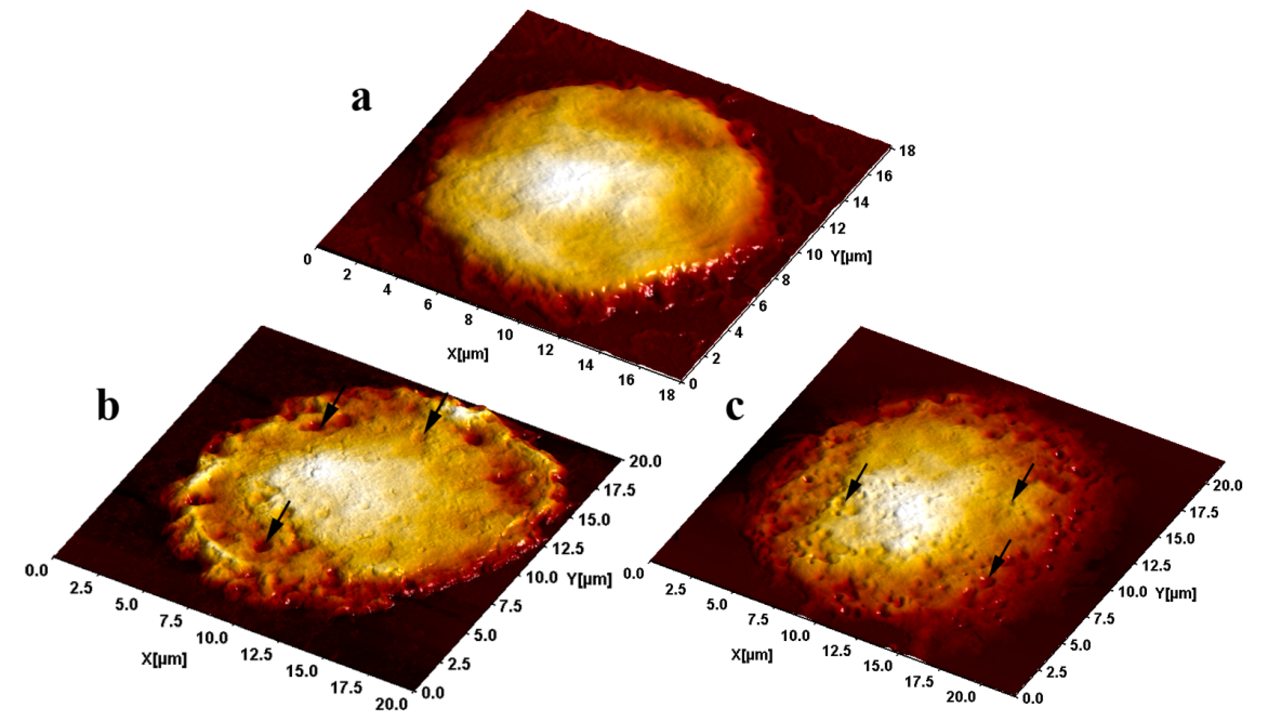 Ijms 15 21538 g002 1024